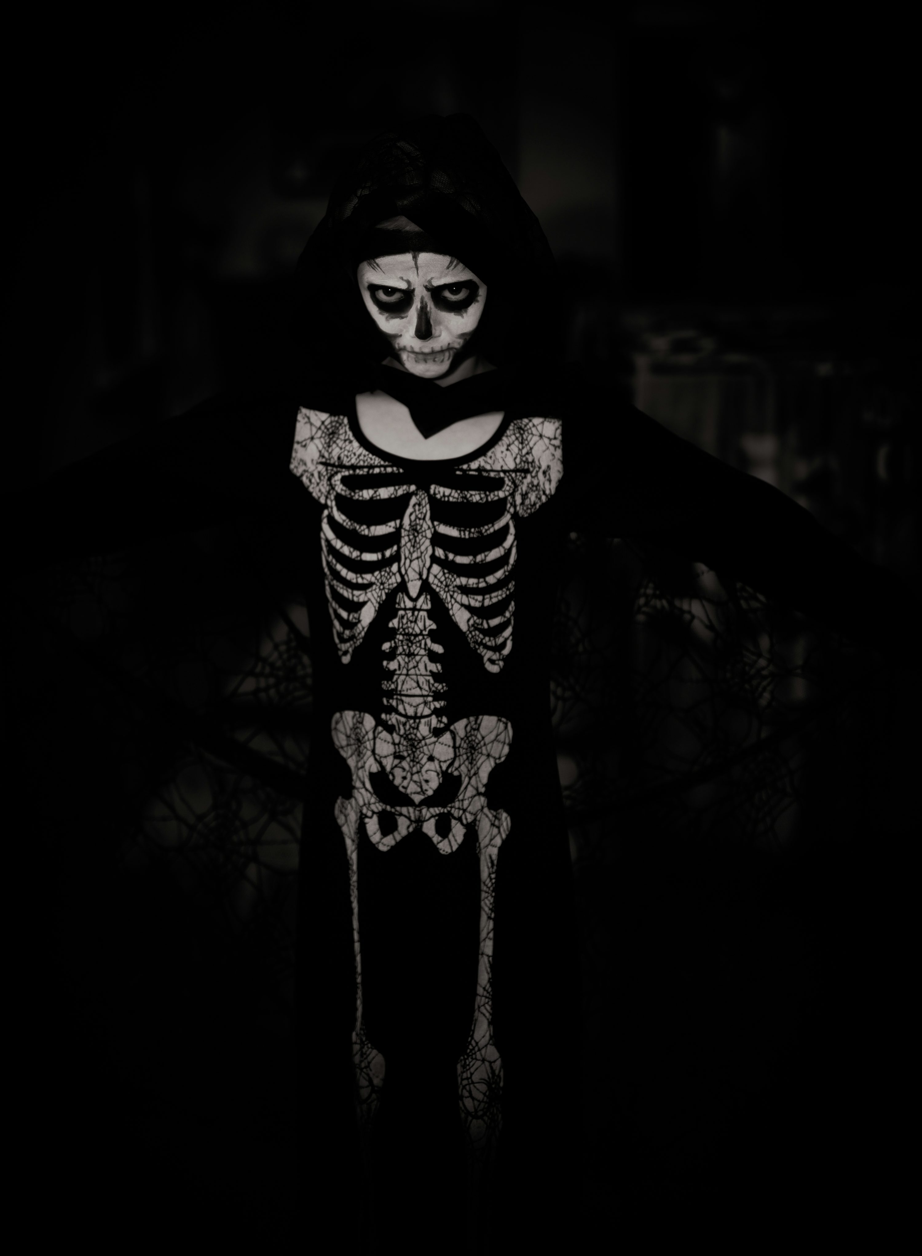 Skeleton Picture [HD]. Download Free Image