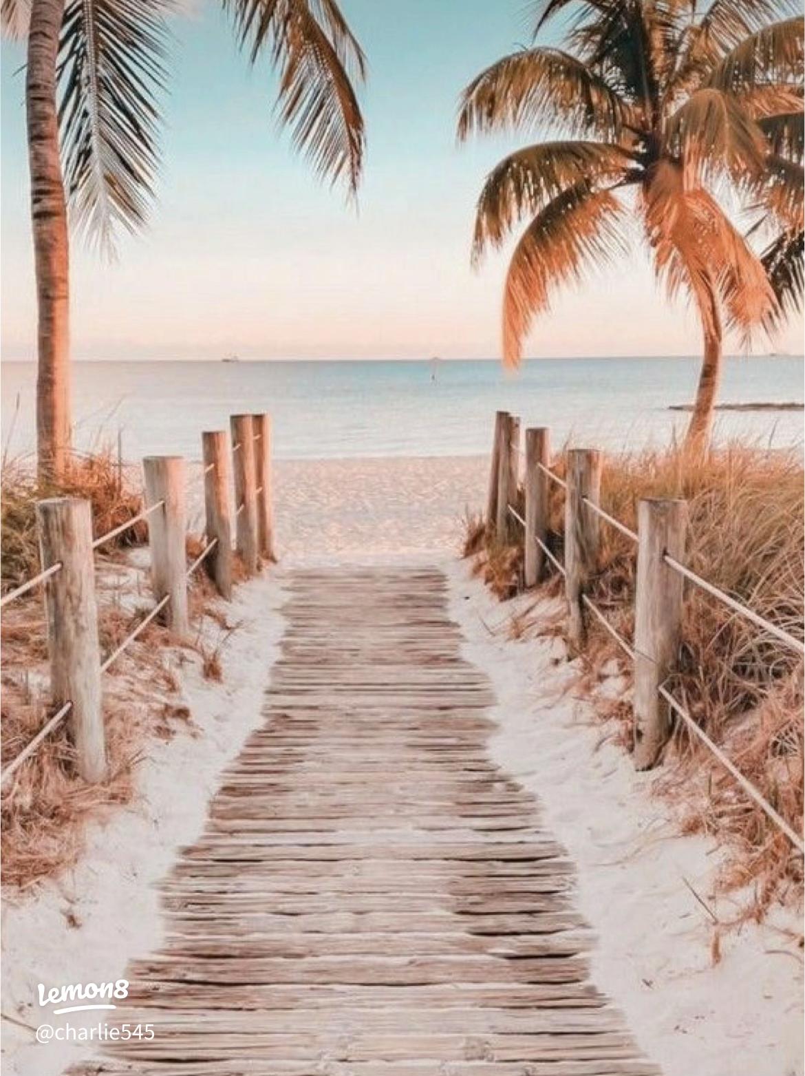 Adorable Summer Wallpaper to Brighten Your Day ☀️