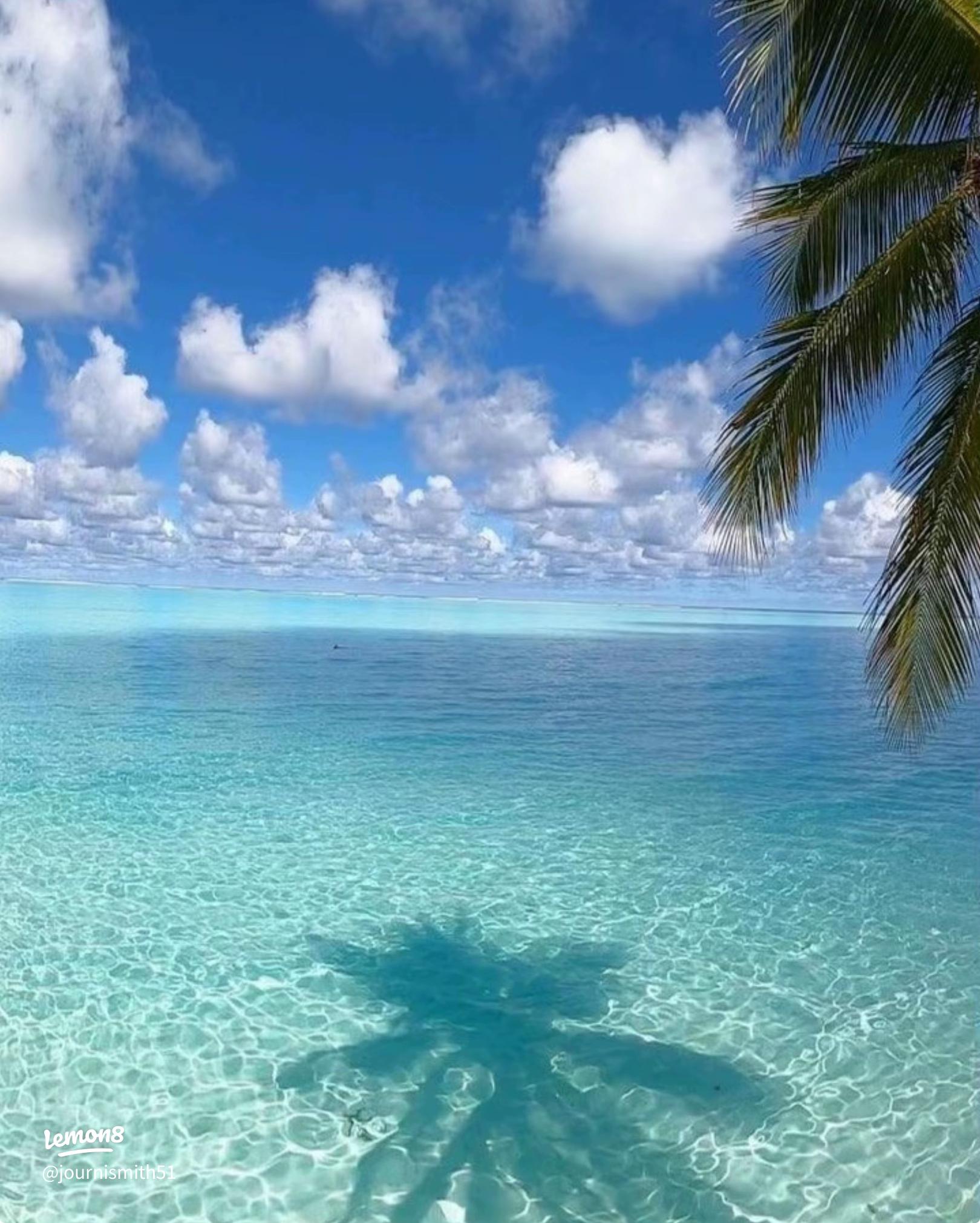 Stylish and Cute Summer Wallpaper for Your Screen