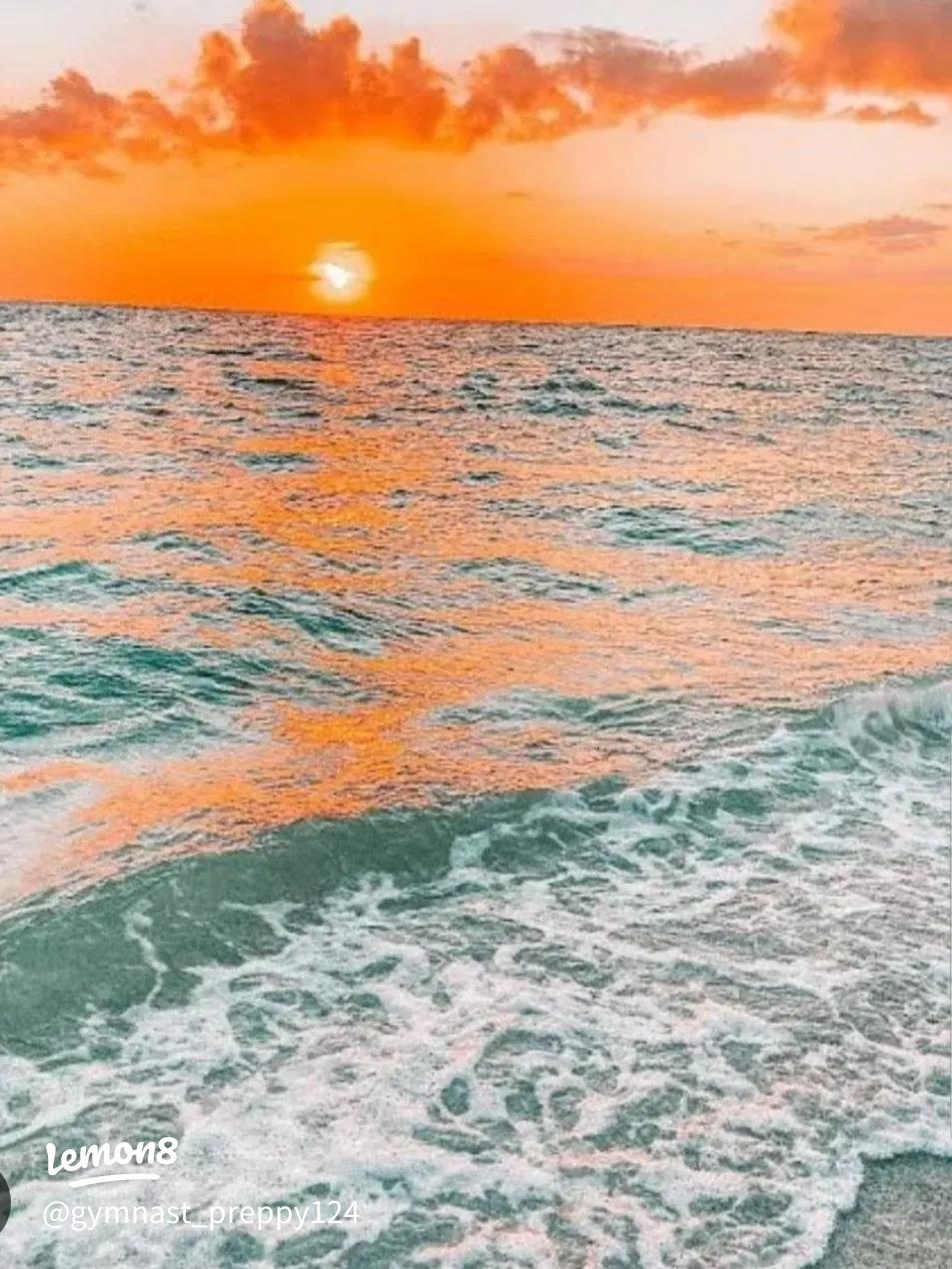 Vibrant Summer Wallpaper to Refresh Your Space