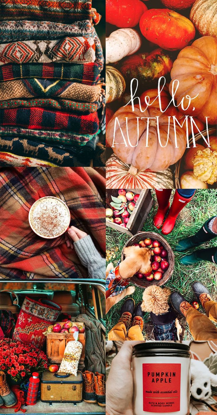 Autumn Collage Wallpaper, Red Apple Autumn