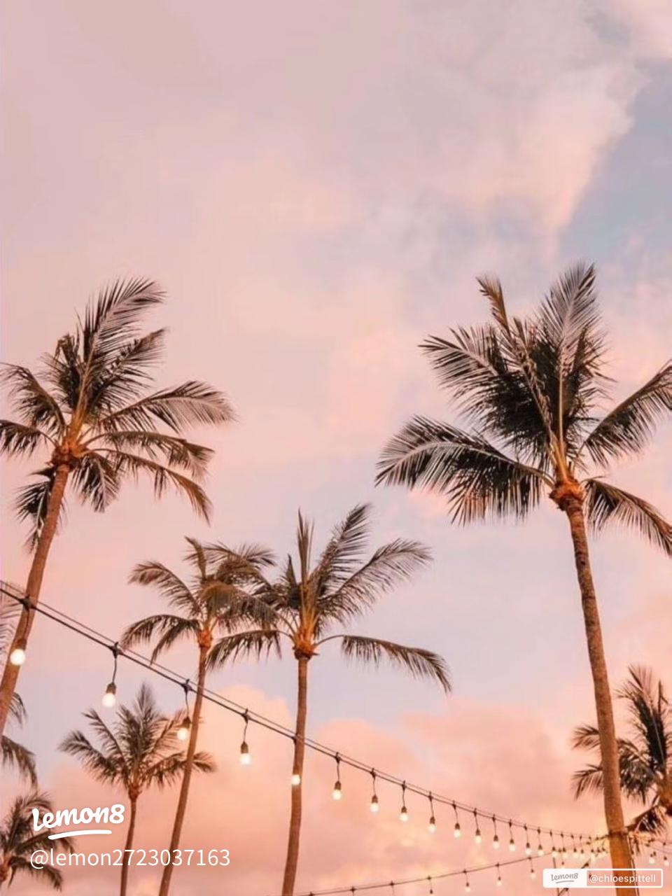 Stunning Preppy Beach Wallpaper Ideas for Your Space