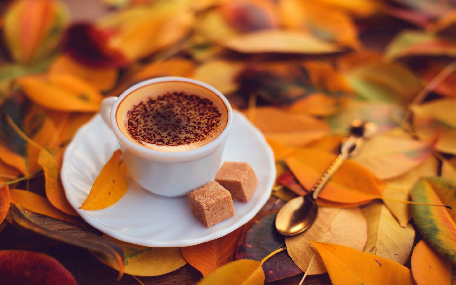 Autumn Bliss: HD Coffee & Cozy Flavors Wallpaper