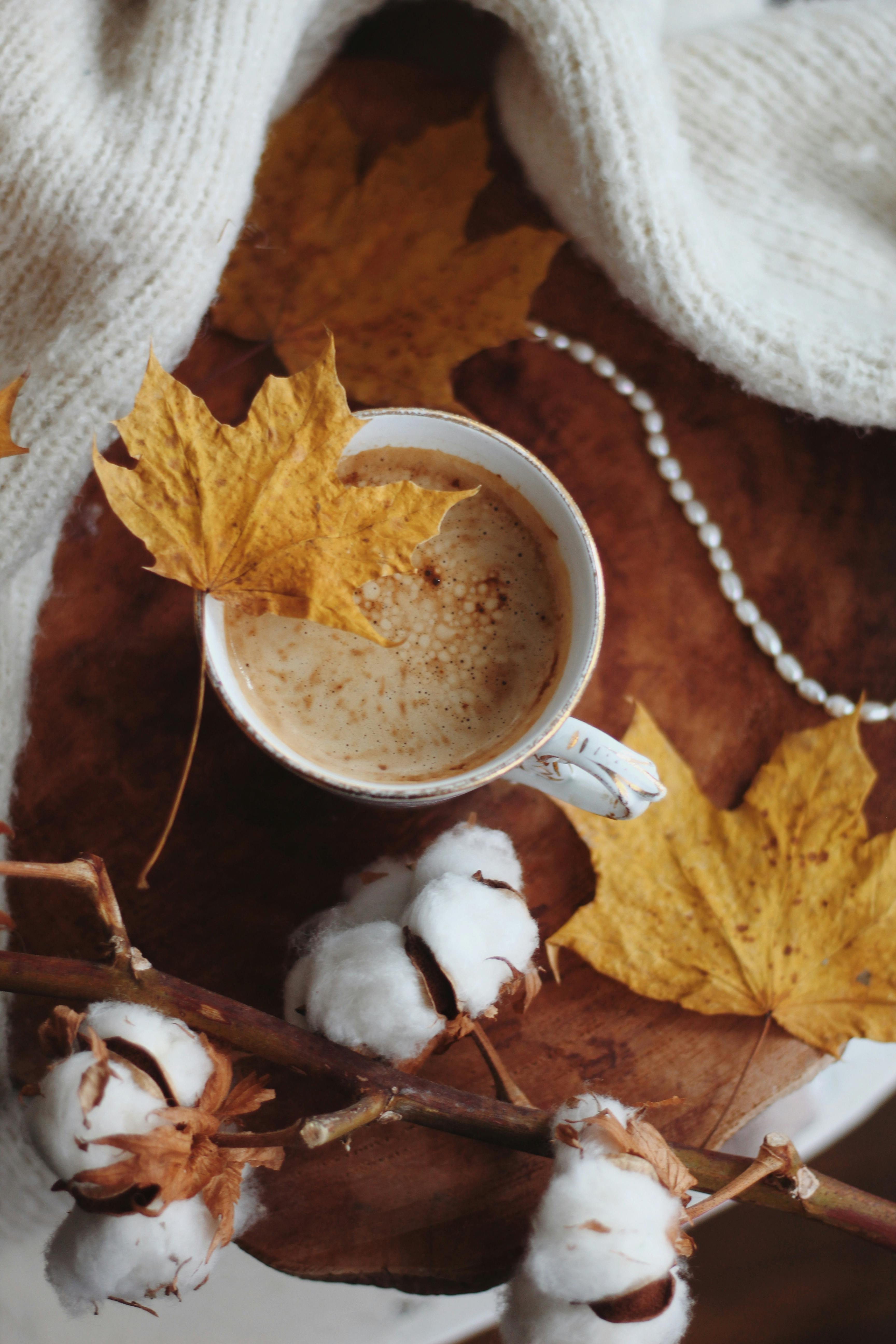 Autumn Leaves on and by a Coffee Cup · Free