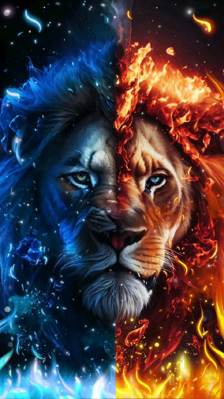 Two Lions Facing Each Other with Fire