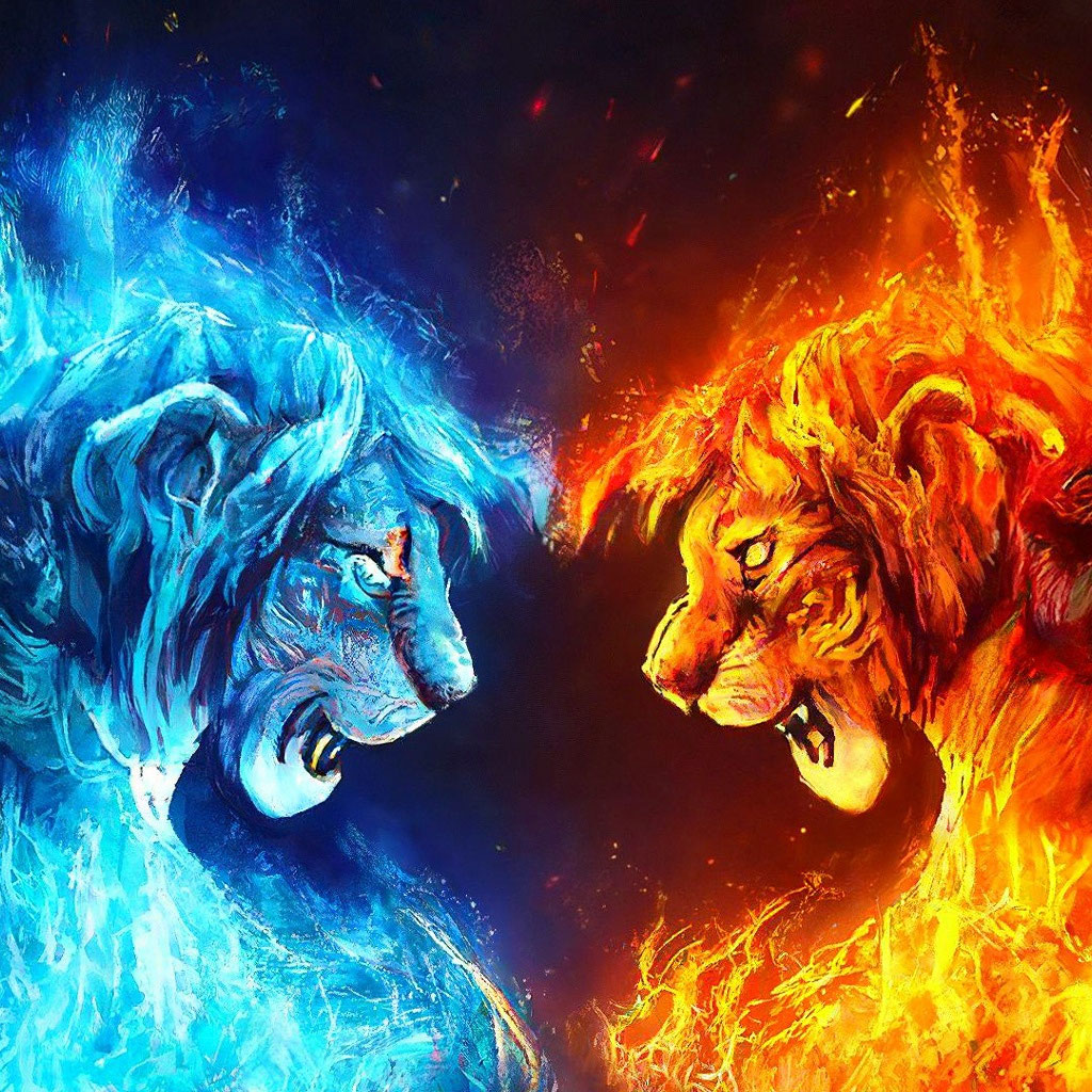 Fire lion vs ice tiger