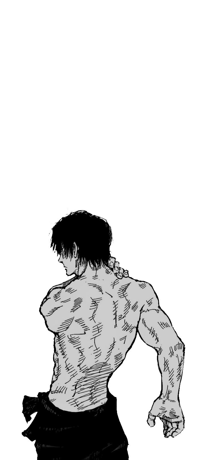 Wallpaper Toji Fushiguro