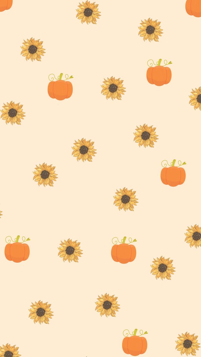 Sunflower & Pumpkin Wallpaper
