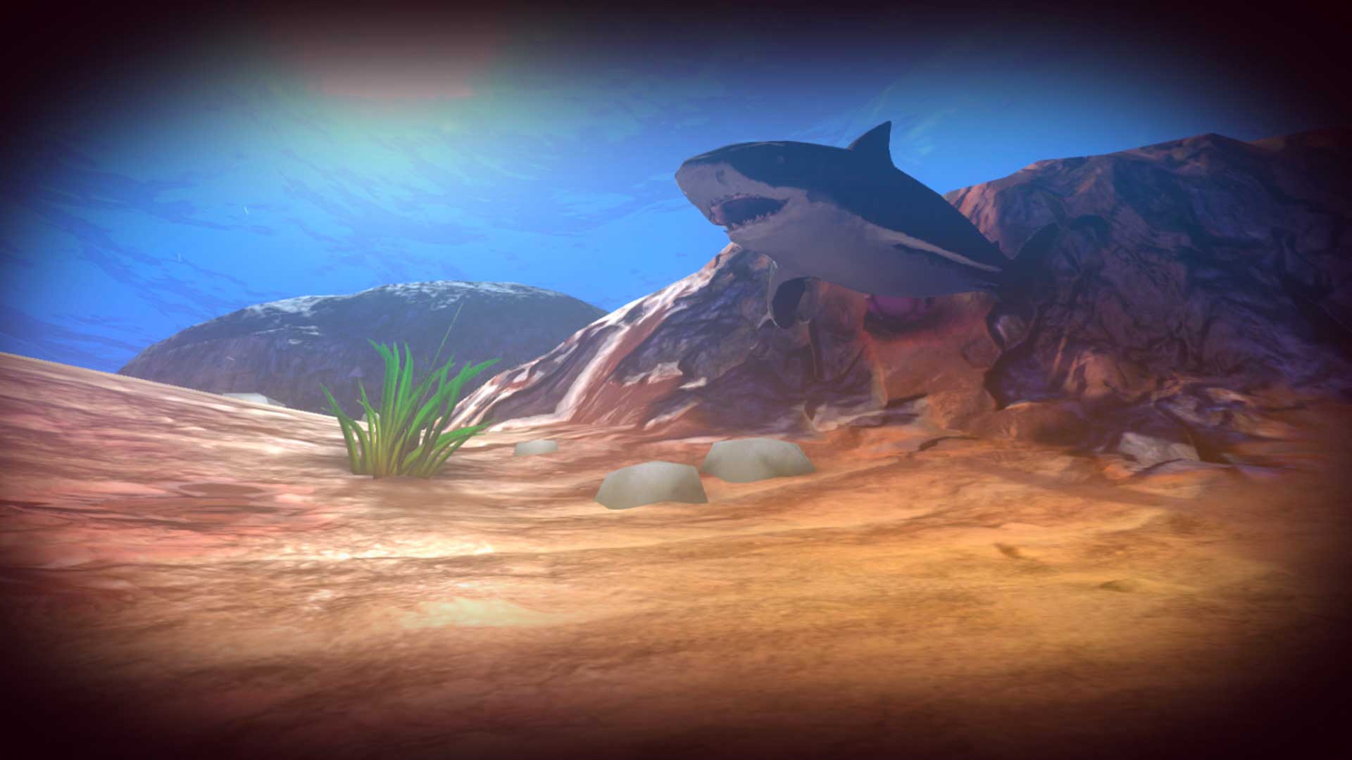 Feed and Grow: Fish Review