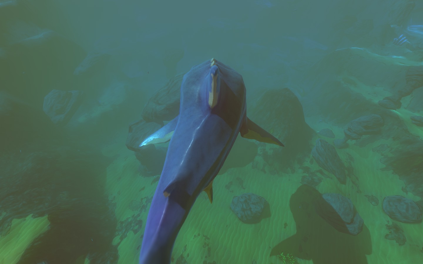 Super Feed And Grow Fish Cheat mod