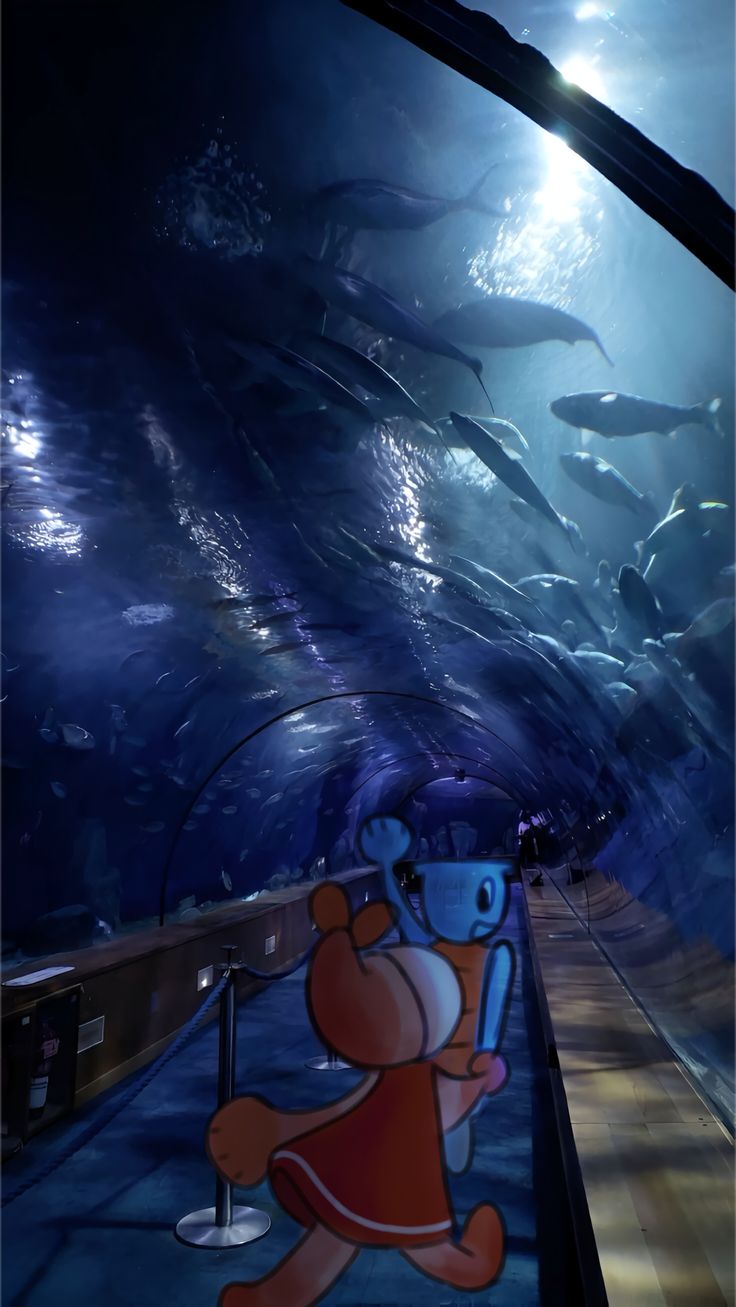 FINN X SHRIMPO WALLPAPER!1!