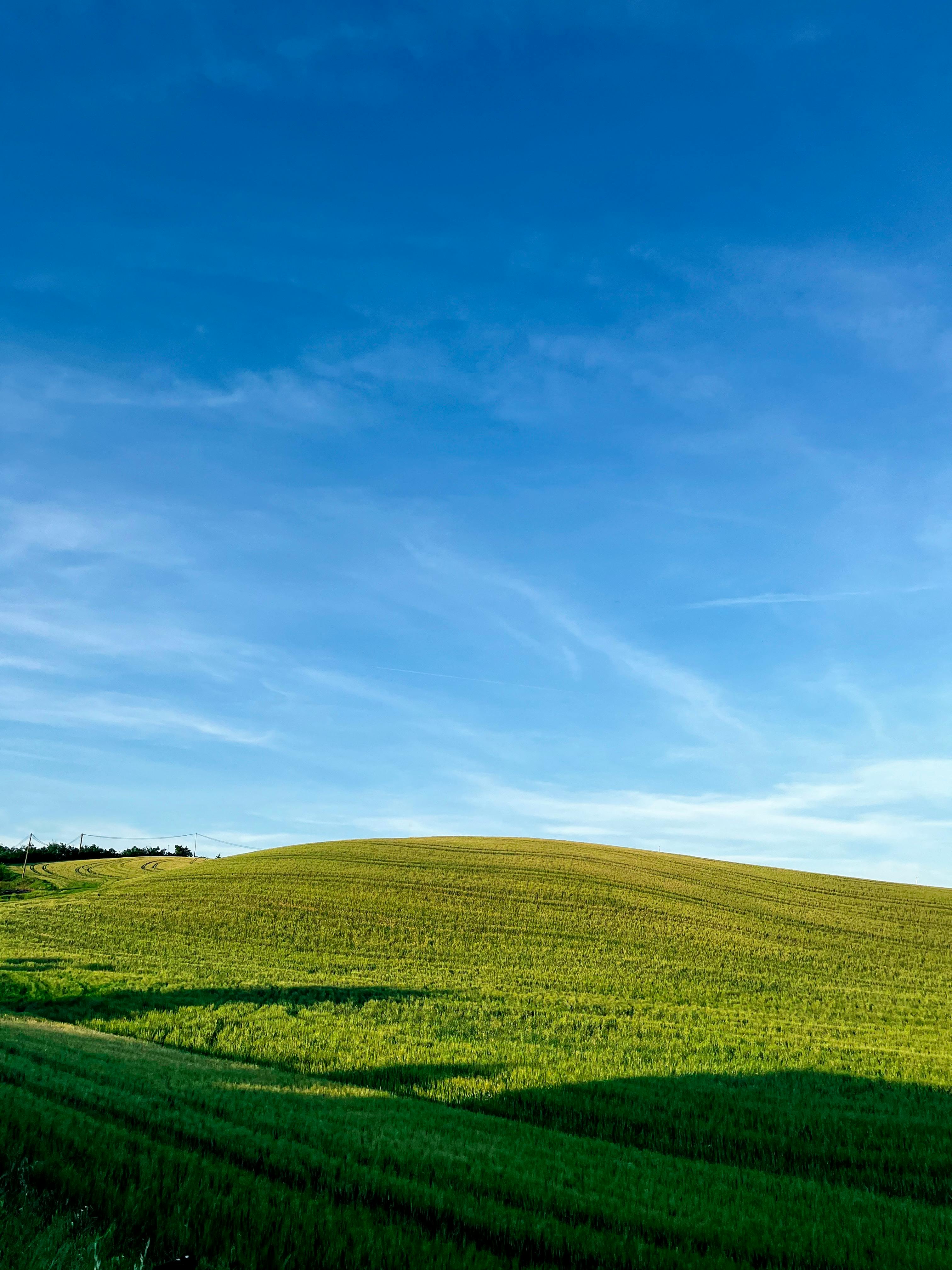 Sunny Agricultural Field under Blue Sky · Free