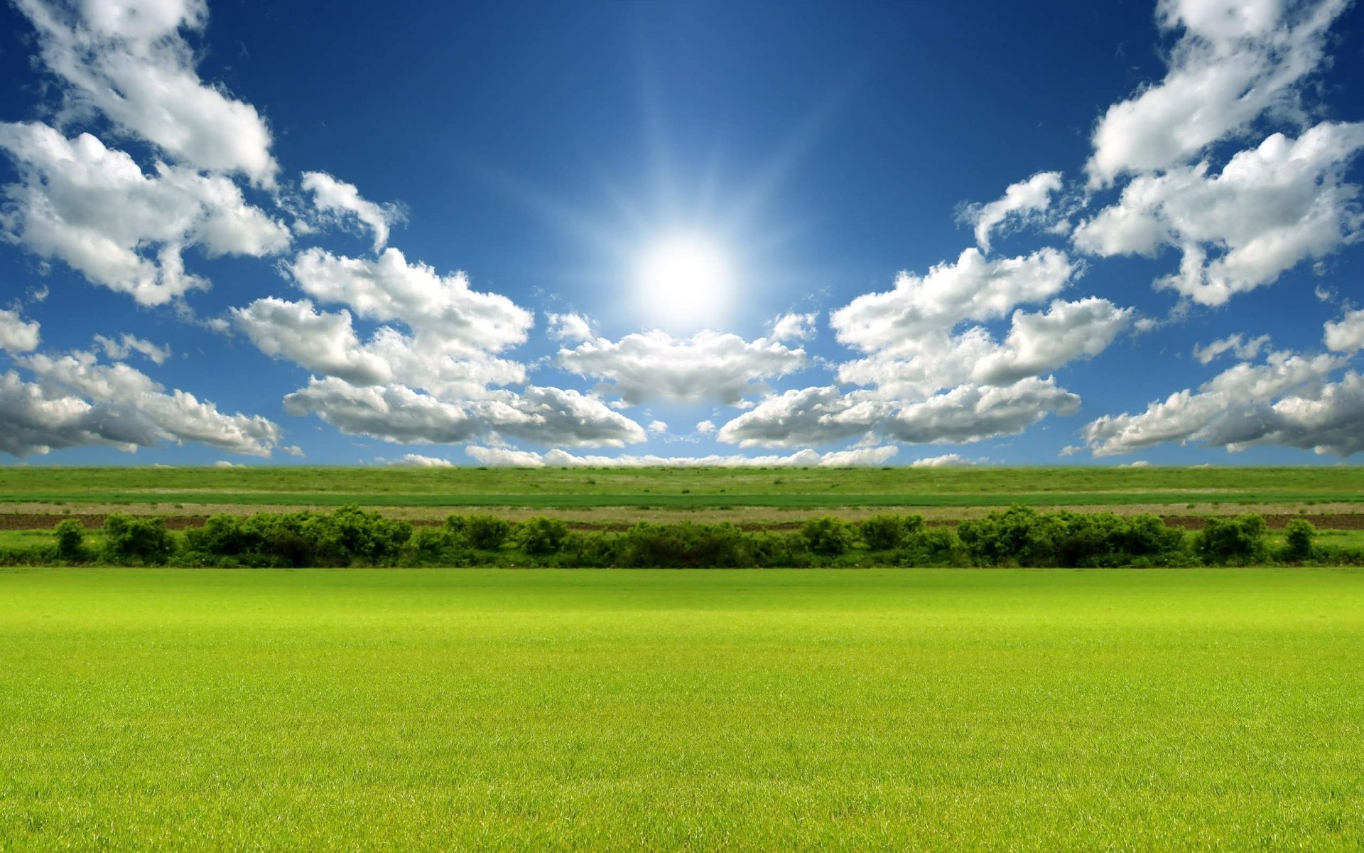 Smooth horizon of green fields on a clear sunny day