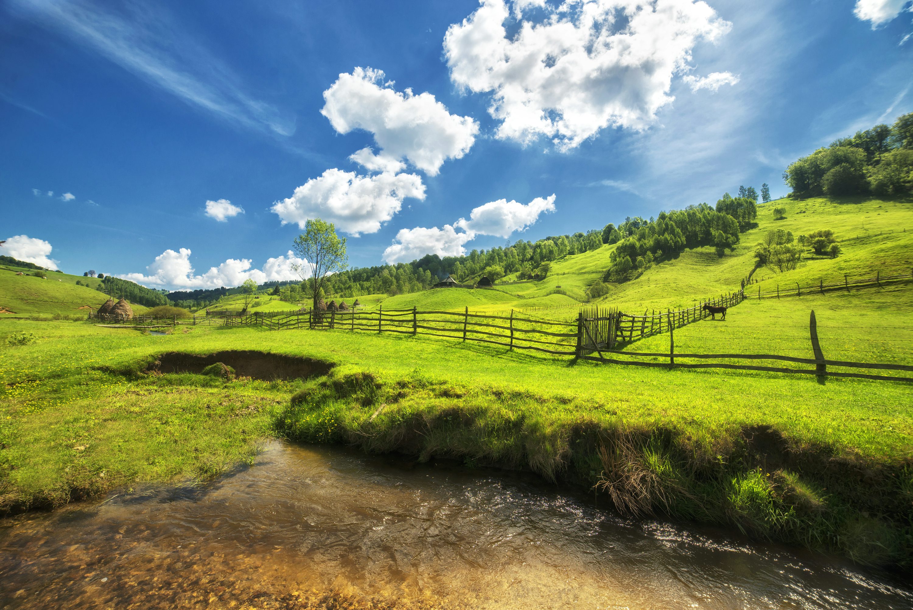 Sunny Landscape Picture. Download Free Image