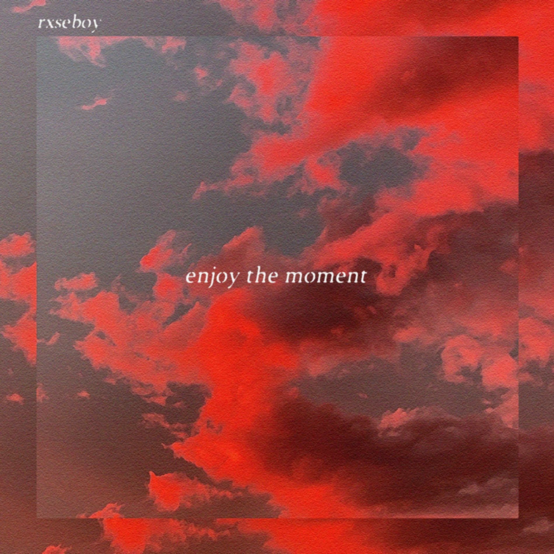 Rxseboy the Moment