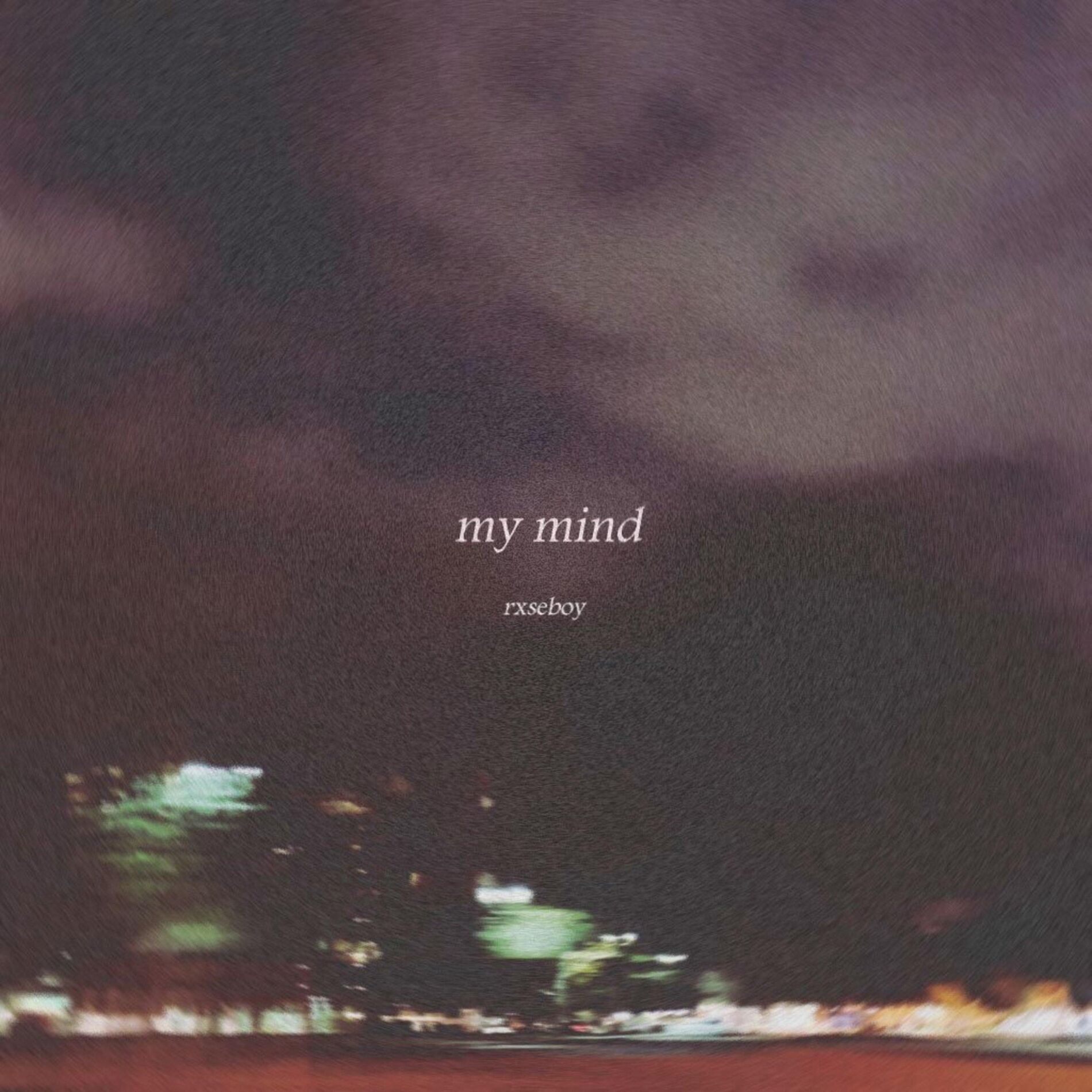 Rxseboy