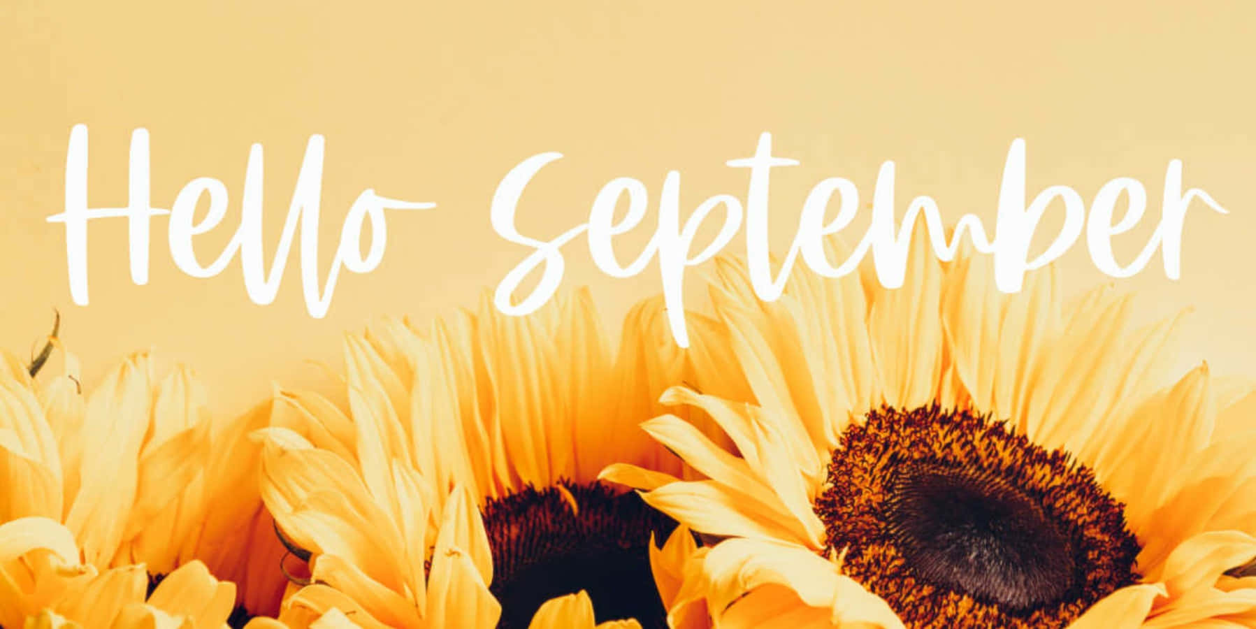 Download Welcome September, Enjoy the Charming weather