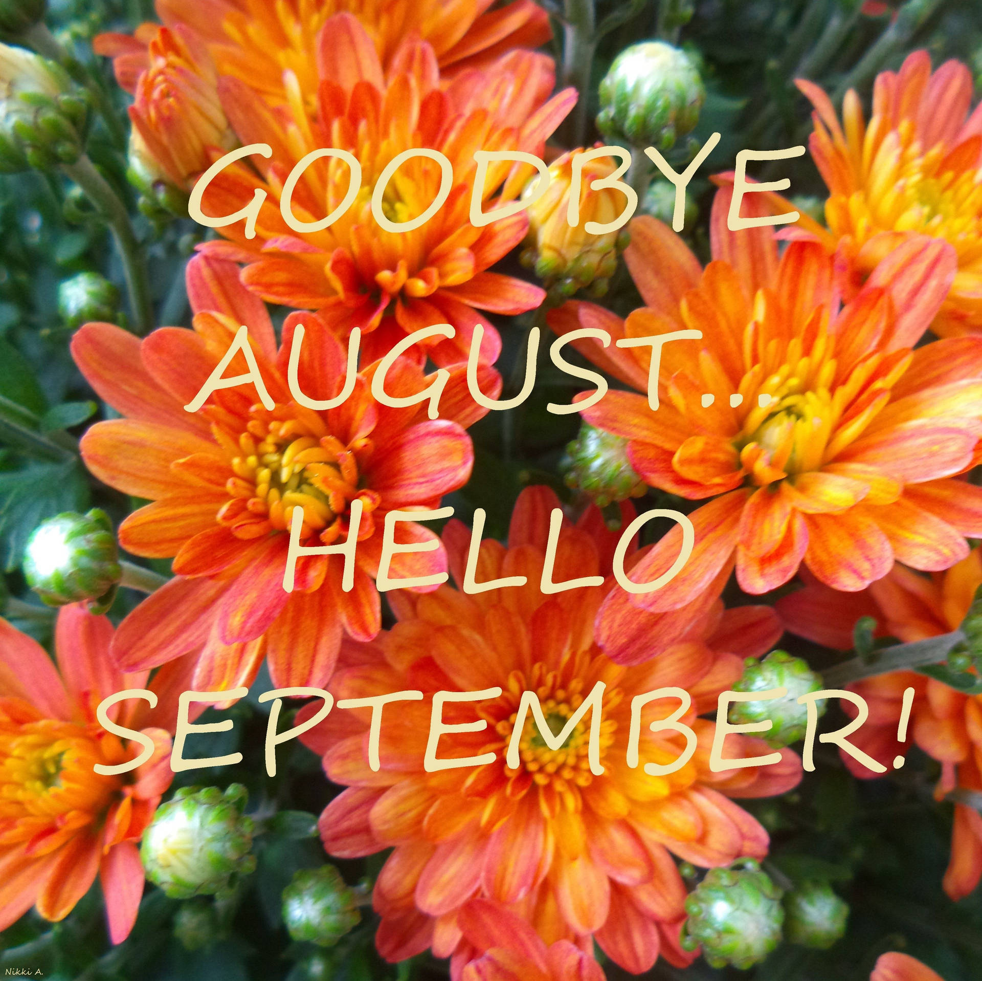 Download Goodbye August, Hello September! Wallpaper