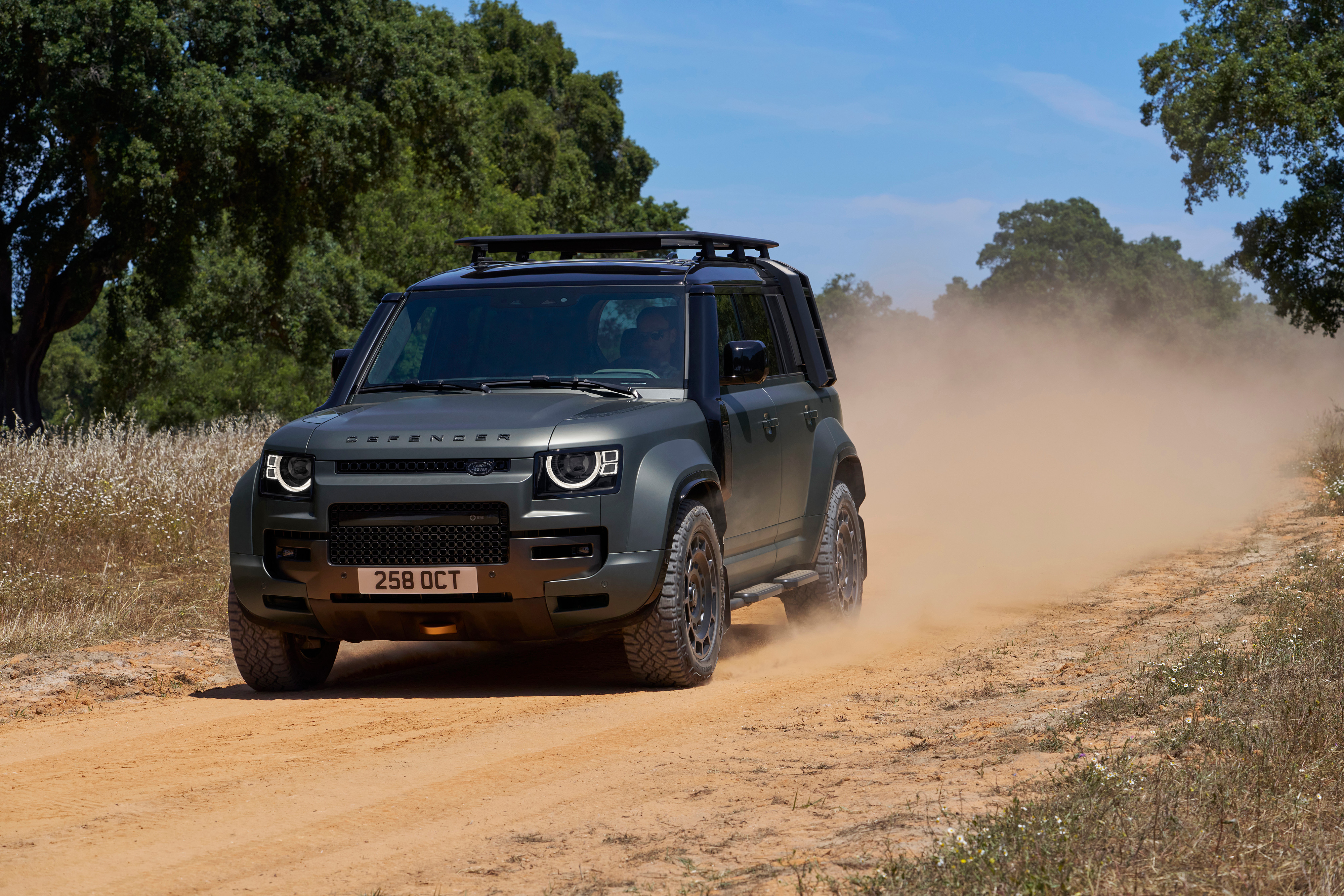 Land Rover Defender OCTA review: 'grip, grunt and hardiness'