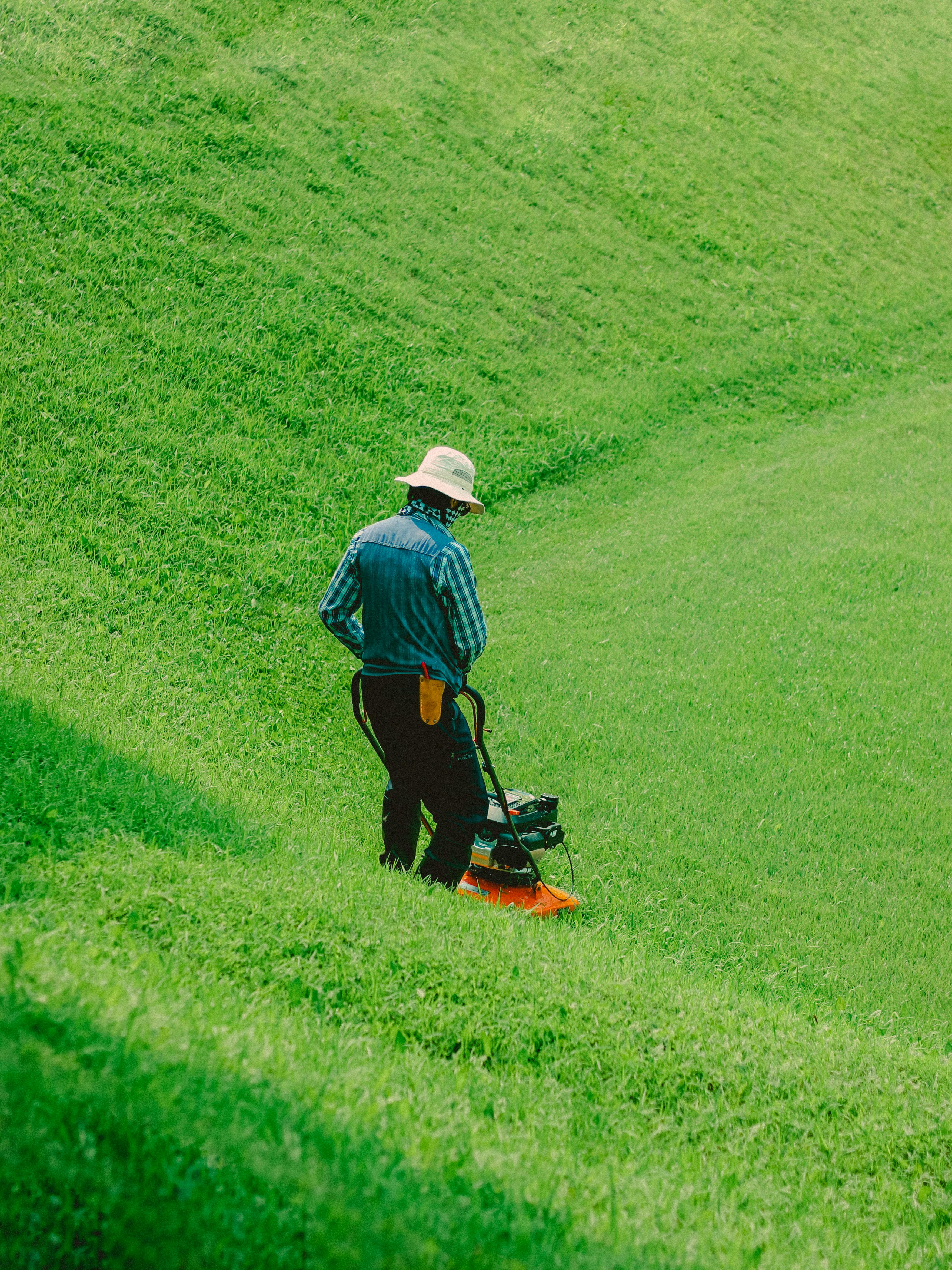 Lawn Care Photo, Download The BEST Free Lawn Care & HD Image