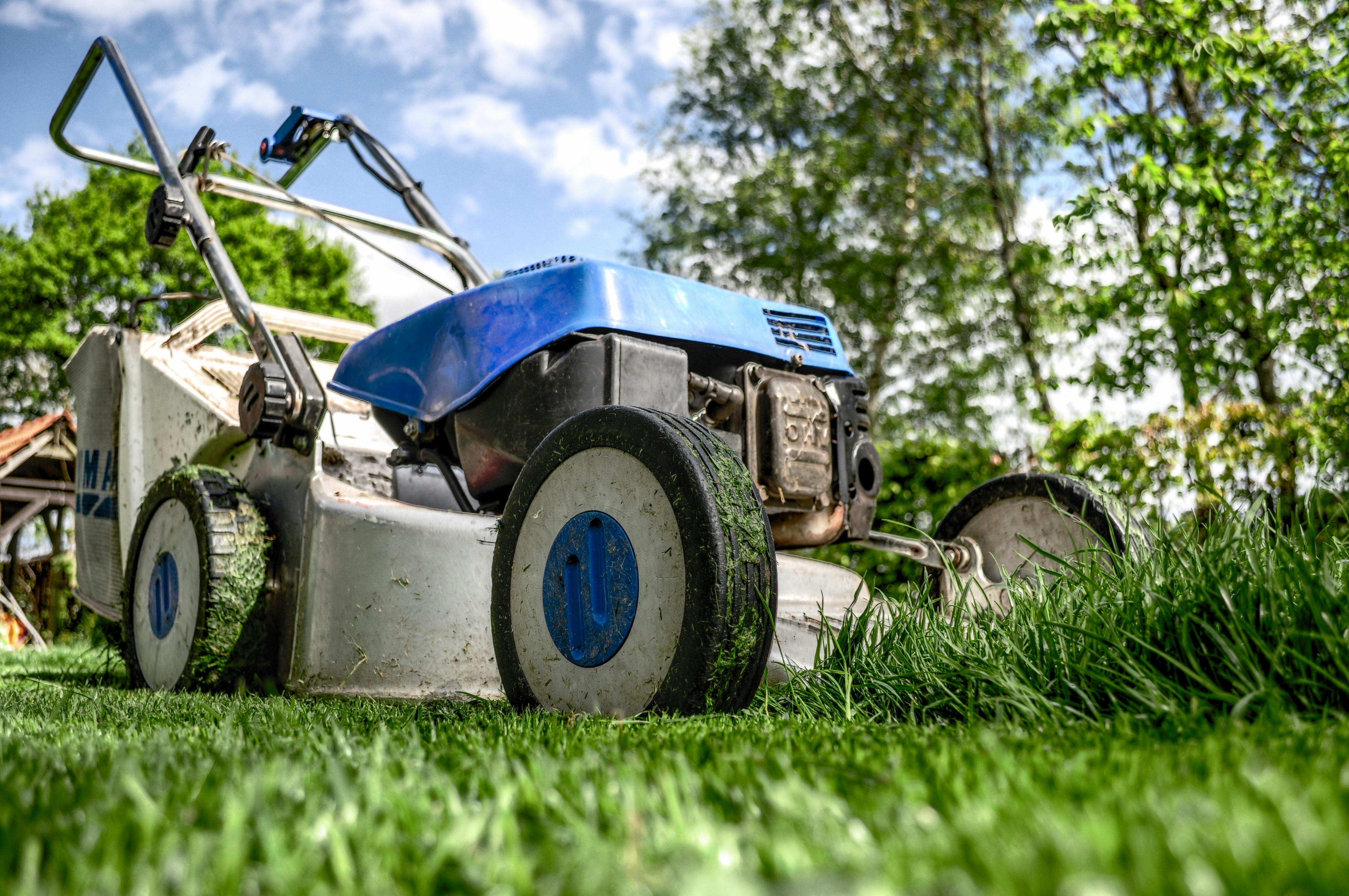 Lawn Care Photo, Download The BEST Free Lawn Care & HD Image