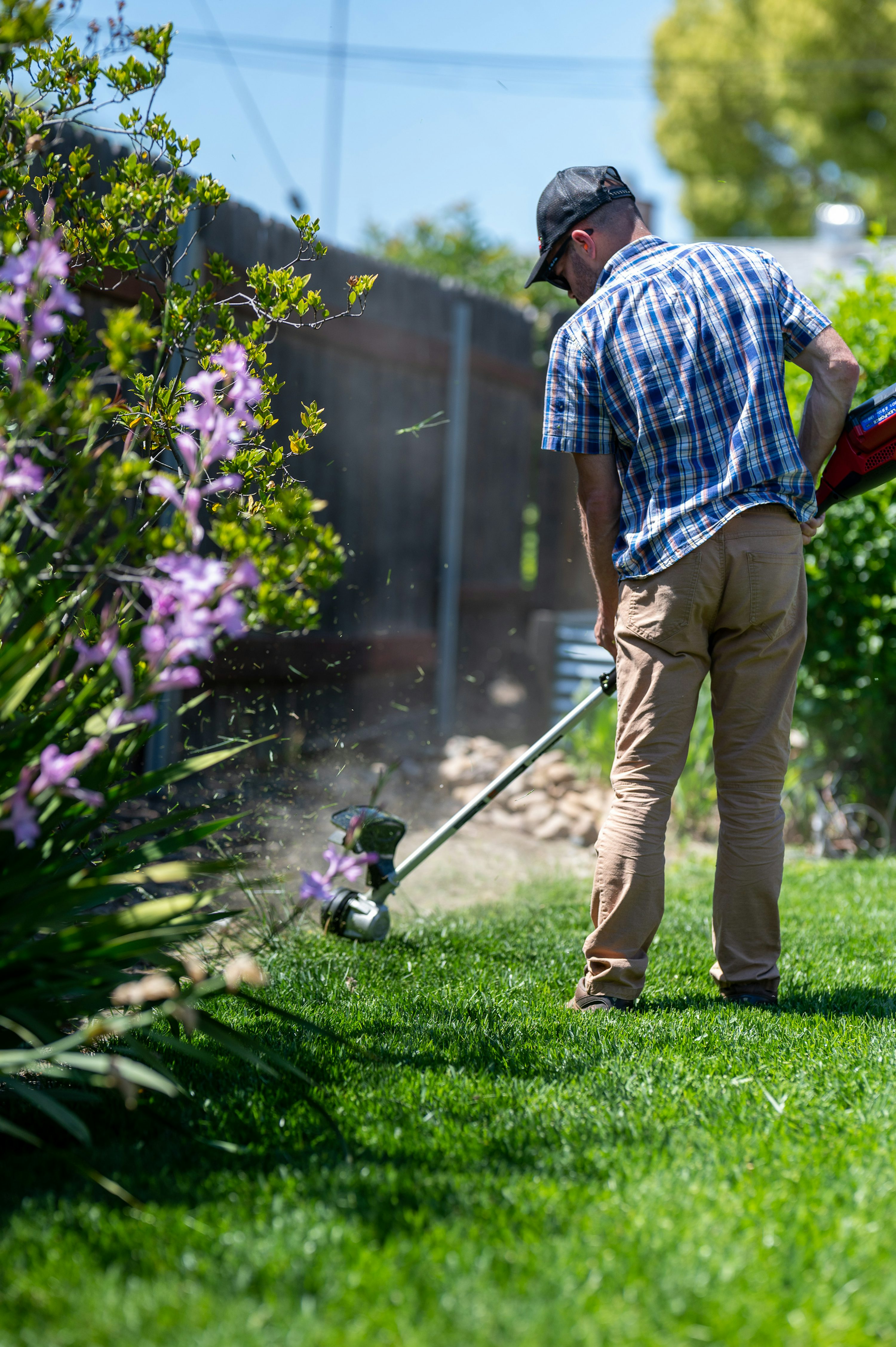 Lawn Care Picture. Download Free Image