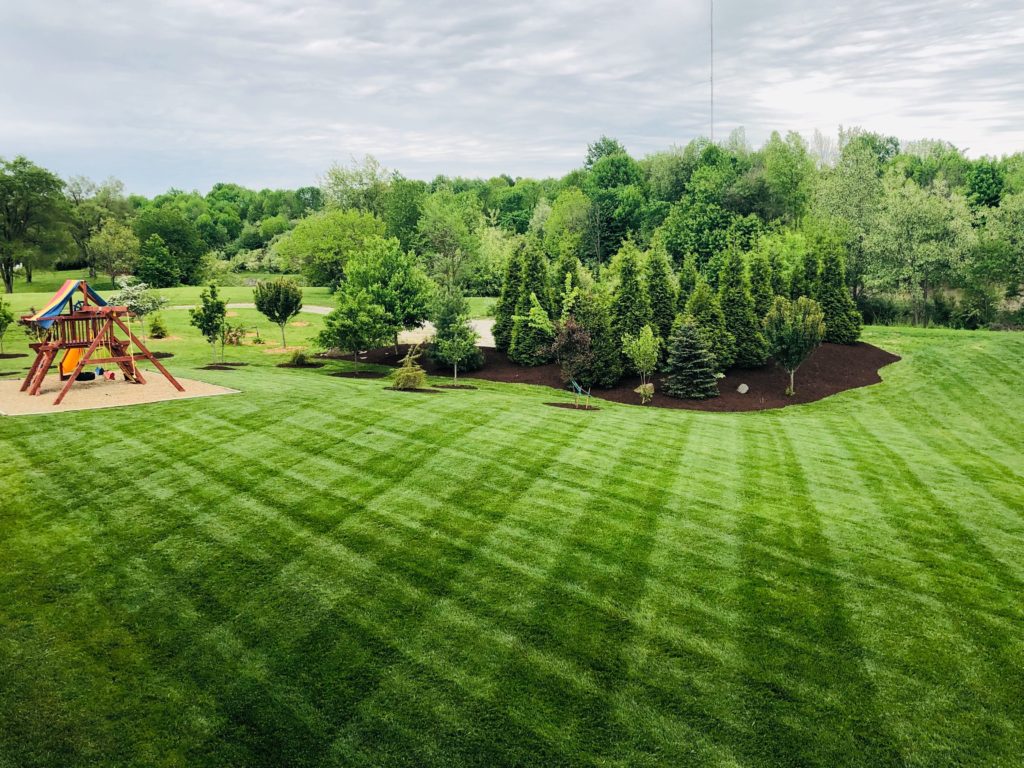 Commercial Lawn Care. Upscale Lawn Pros. Rensselaer and Albany County, NY