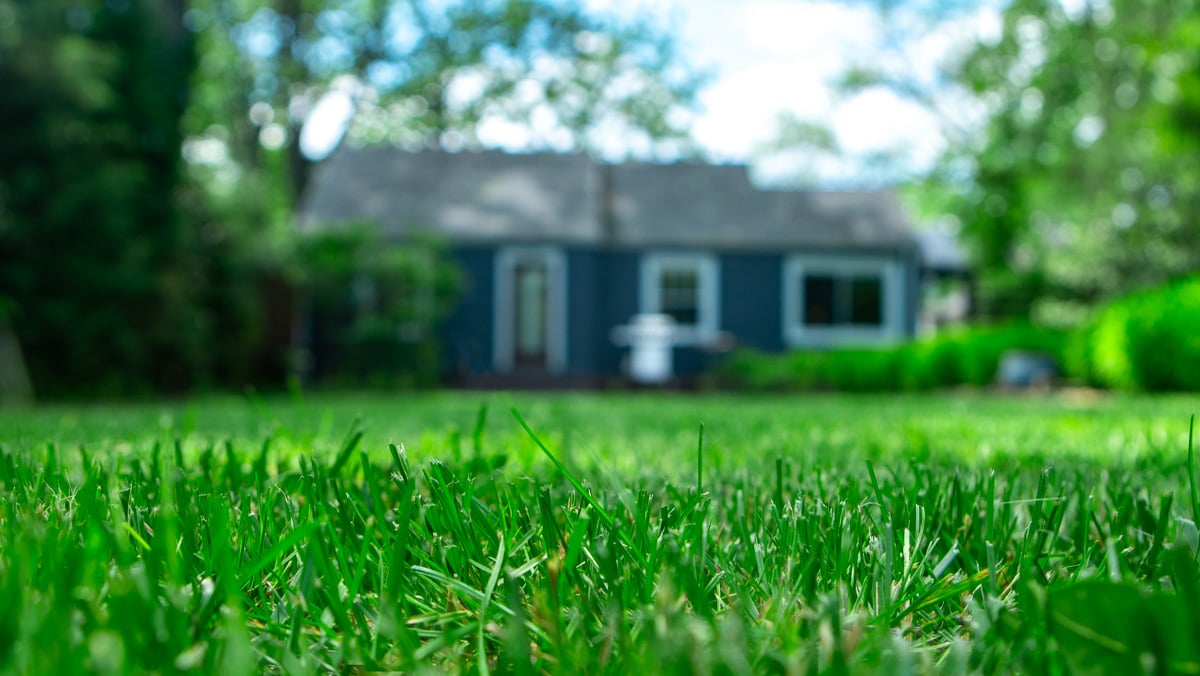 Lawn Care for Beginners: 4 Steps to Transform Your Louisville Yard