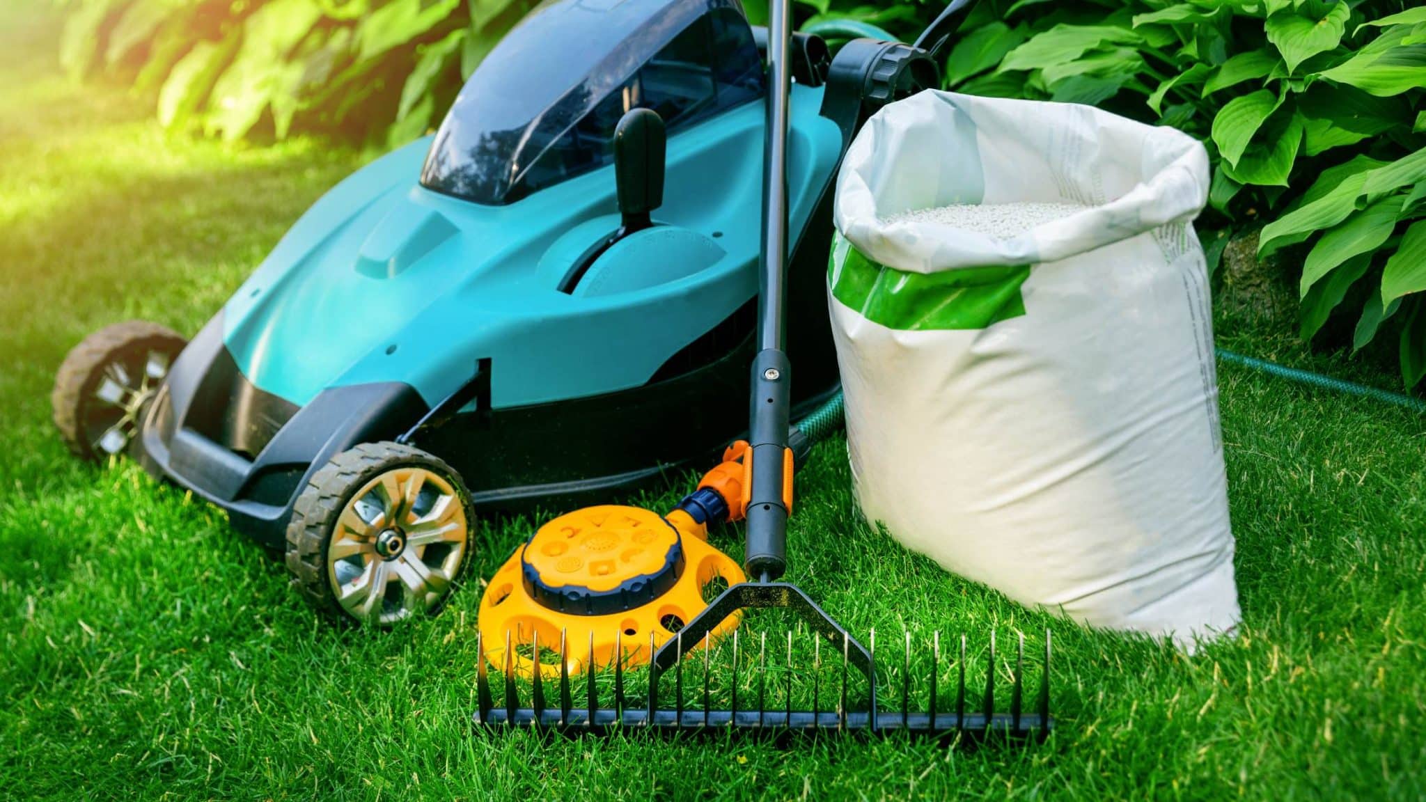 Spring Lawn Care Guide, Charlotte NC