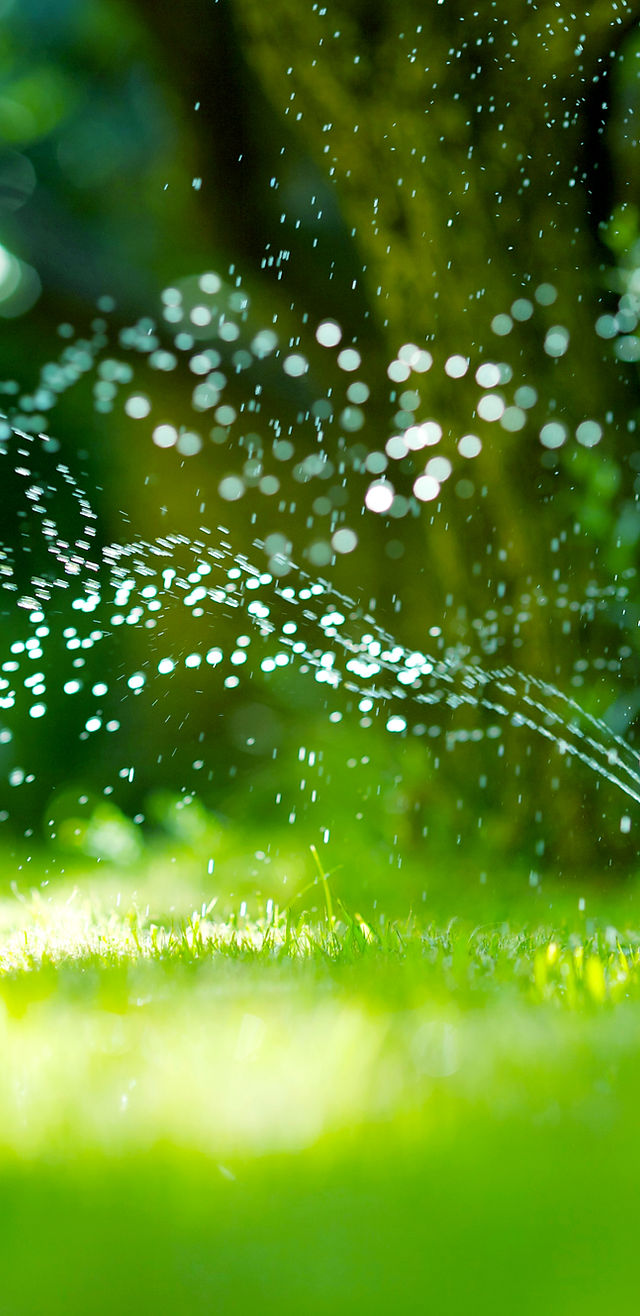 Lawn Care Company. C & B Lawn Works