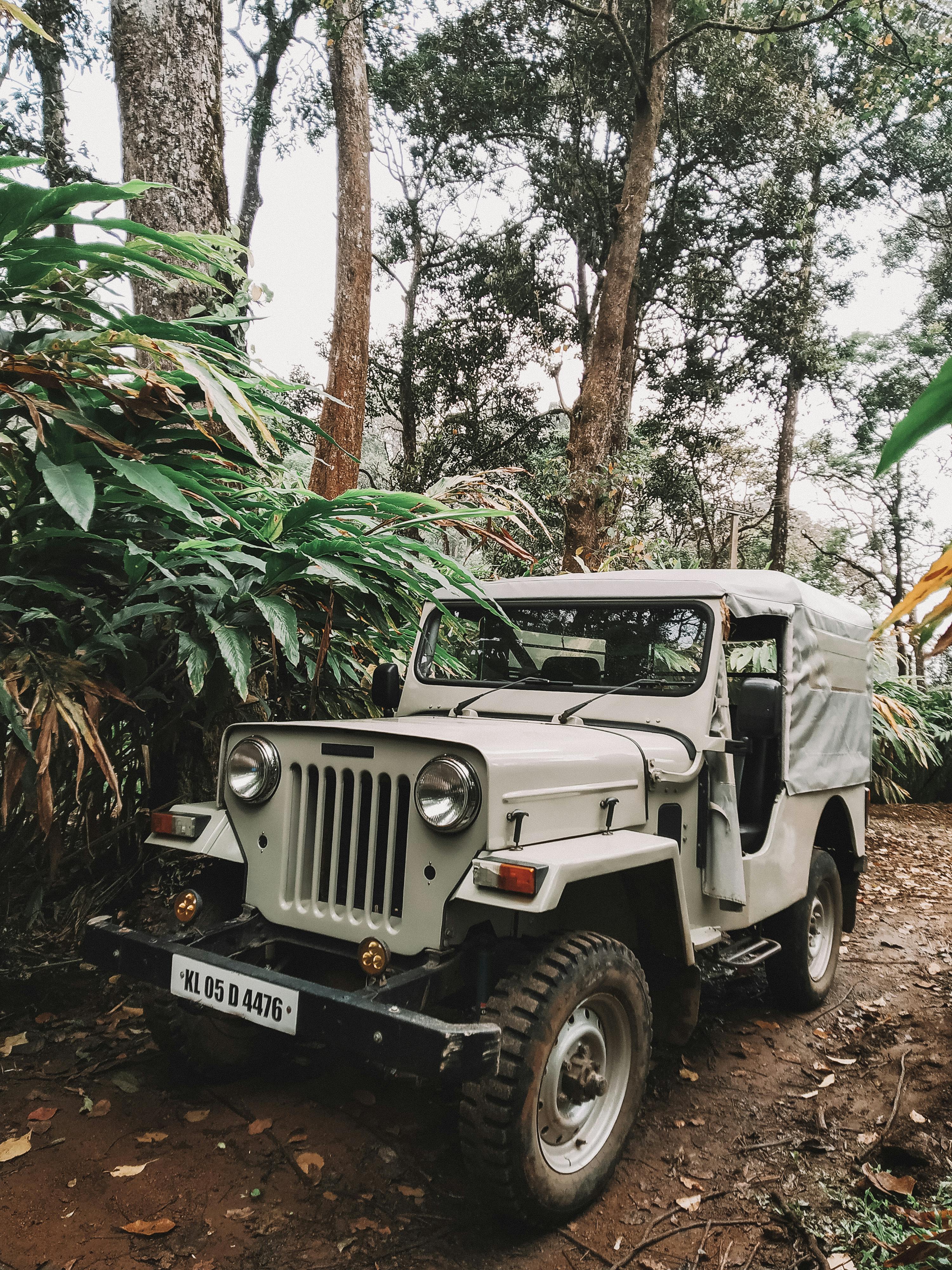 An Off Road Jeep Parked in the Forest · Free