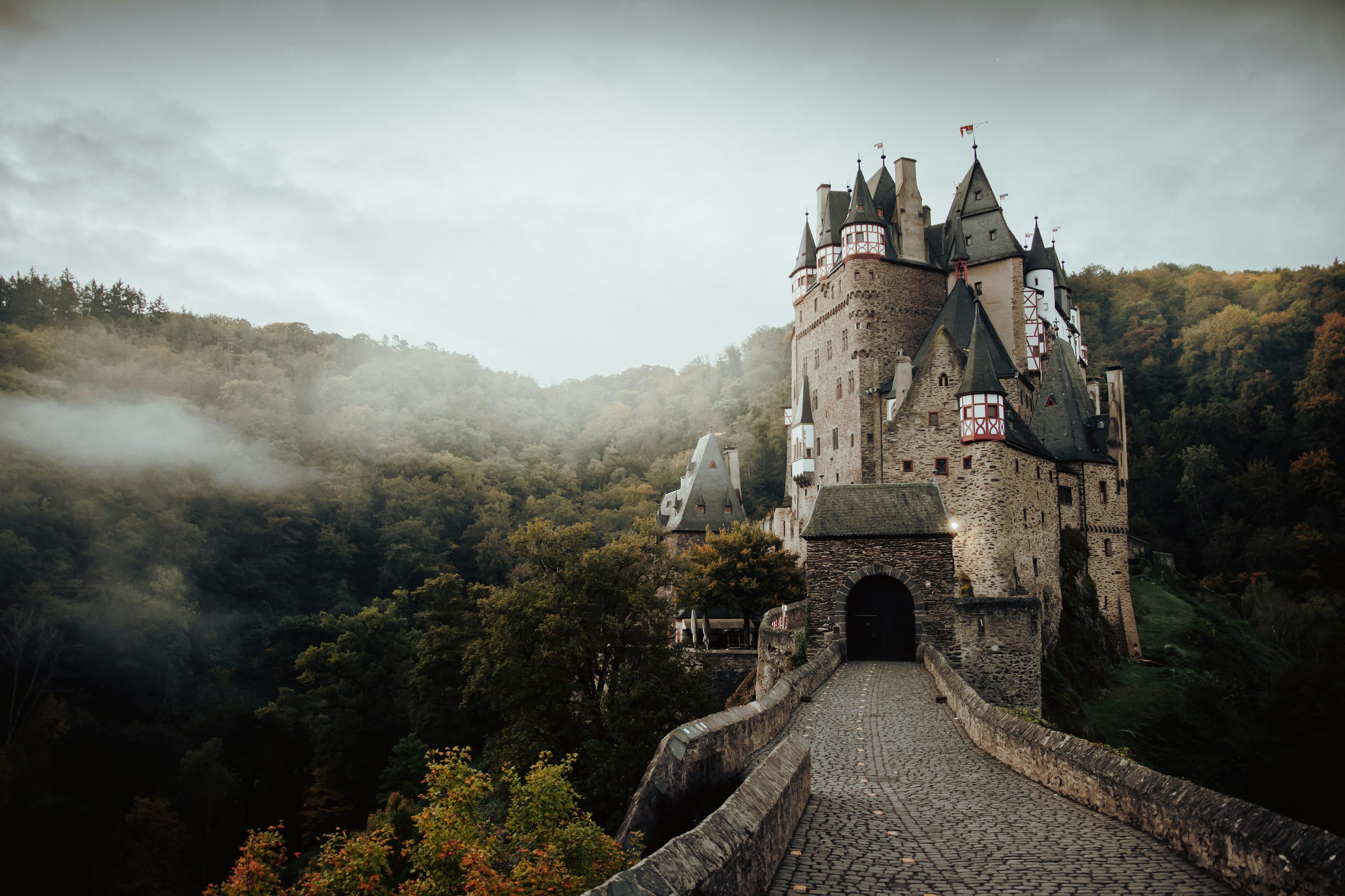 A castle in the middle of a forest photo