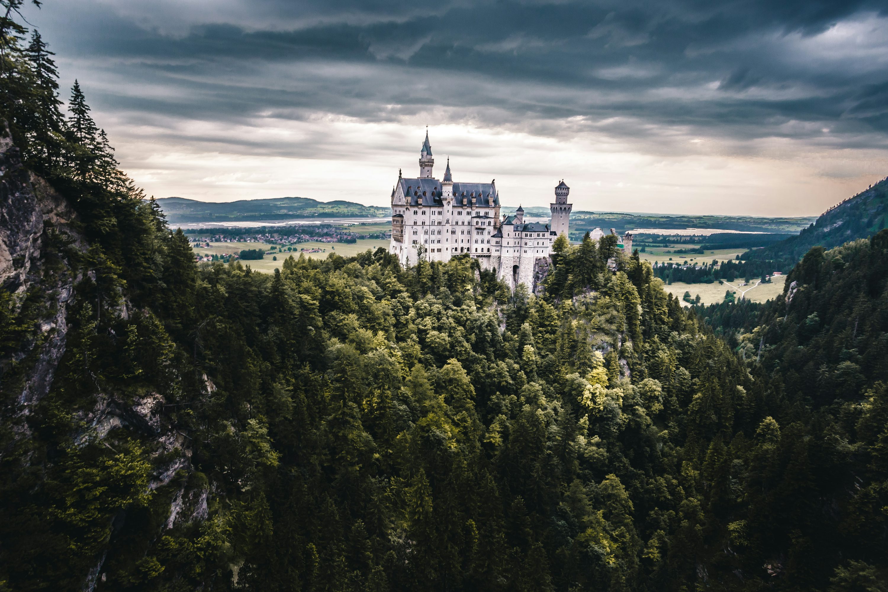 White castle with forest photo