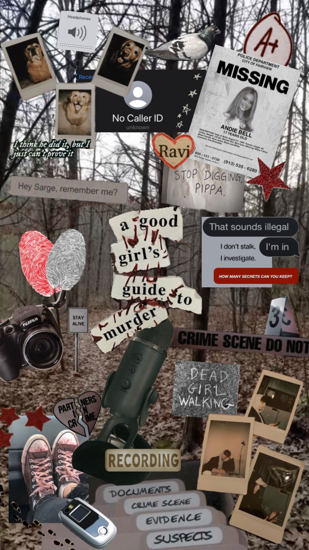 #agoodgirlsguidetomurder #agggtm #agggtmbook #agggtmaesthetic #woods #autumn #criminology #detective #pippafitzamobi #ravisingh #raviandpip #pipandravi #psychology #fall #fallaesthetic #asgoodasdead