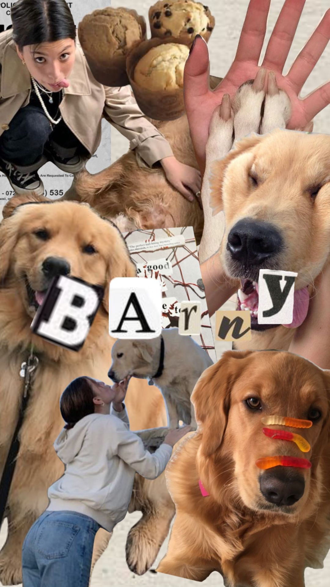 Barney (pips dog) wallpaper: a good girls guide to murder #agggtm #wallpaper #agoodgirlsguidetomurder #book #dog