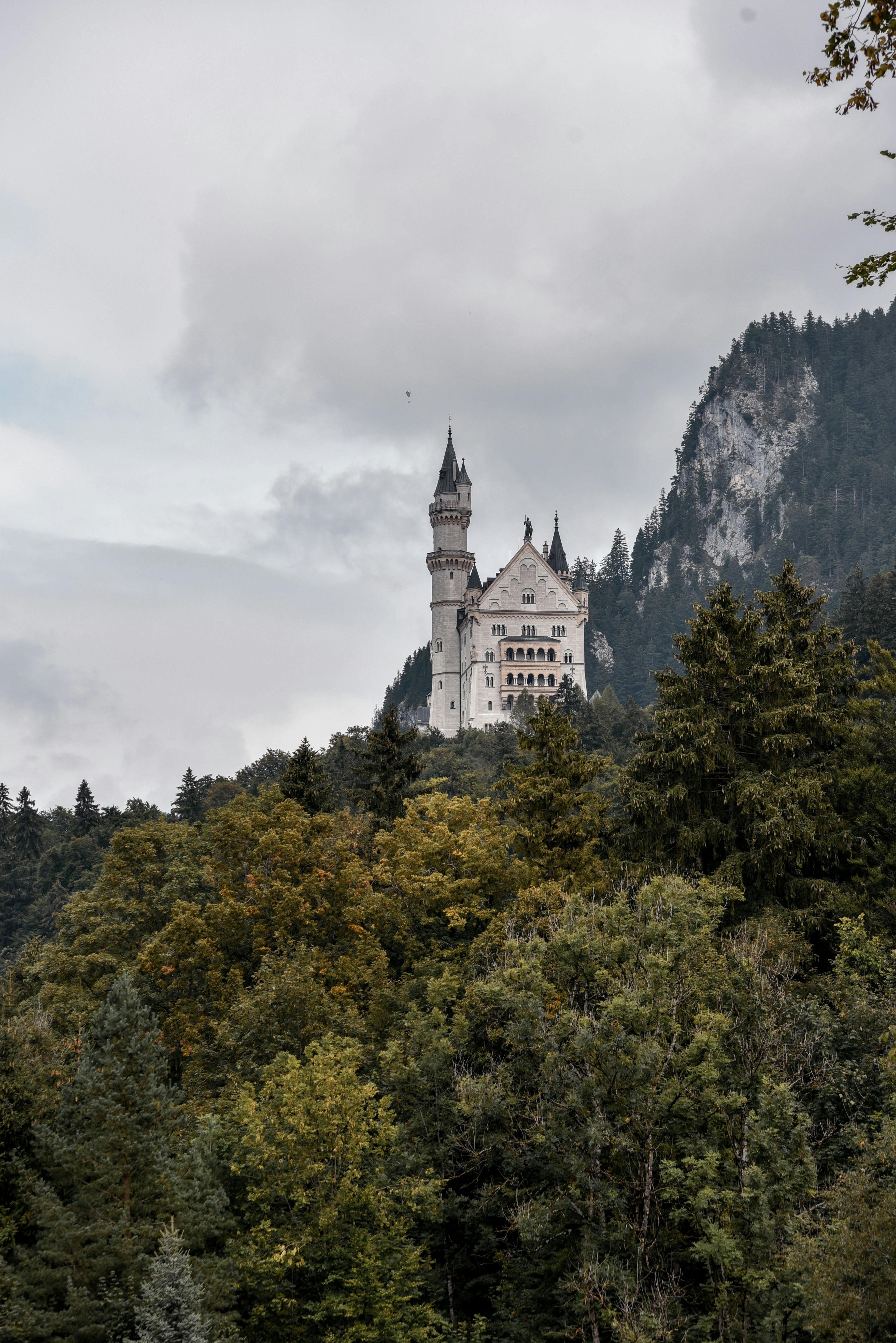 Old castle on rocky rough mountain with forest · Free