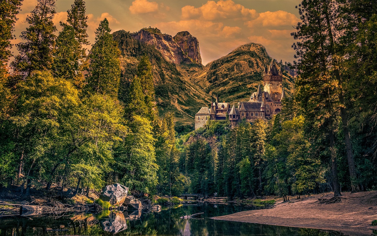 Castle Forest Nature