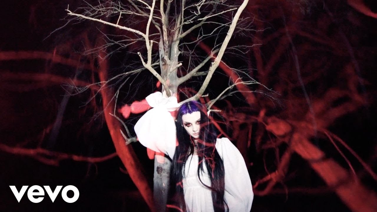 How Zheani Came to Hate People on the Internet