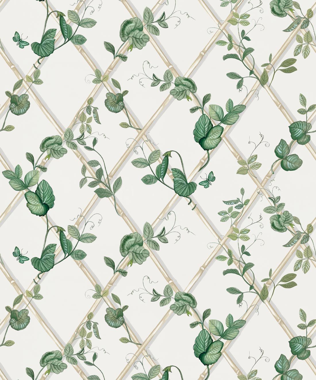 Petite Ivy Wallpaper / Irish Linen Cane / Double Roll