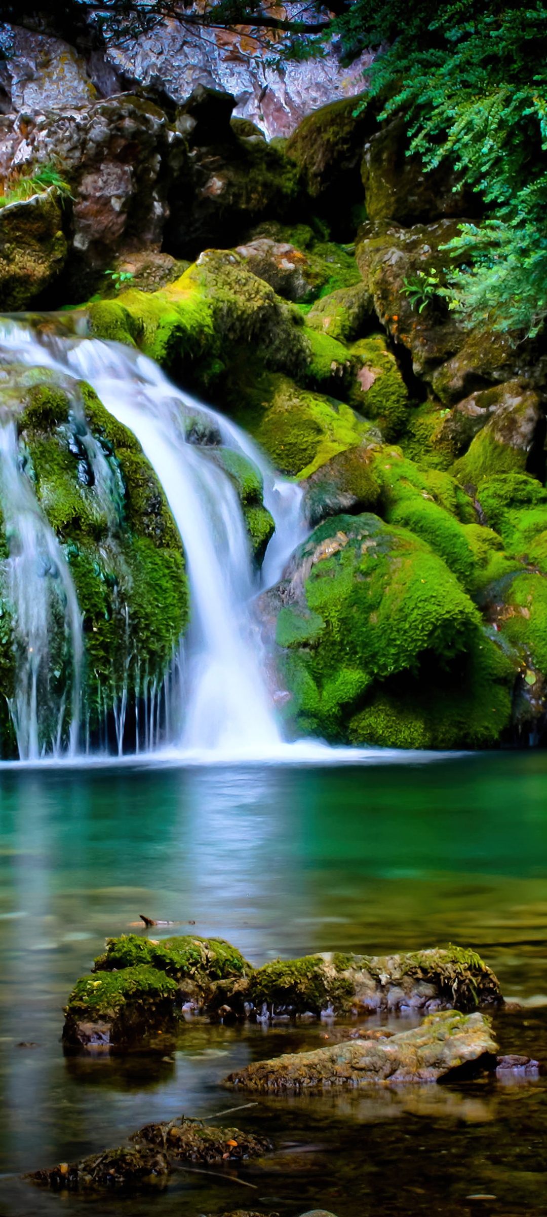 Tropical forest Wallpaper 4K, Waterfall, Green, Landscape