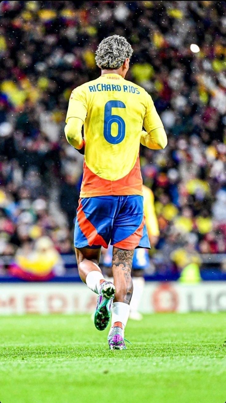 Seleccion Colombia Camiseta Offcial Wcq Richard Rios Soccer Jersey Player Versio