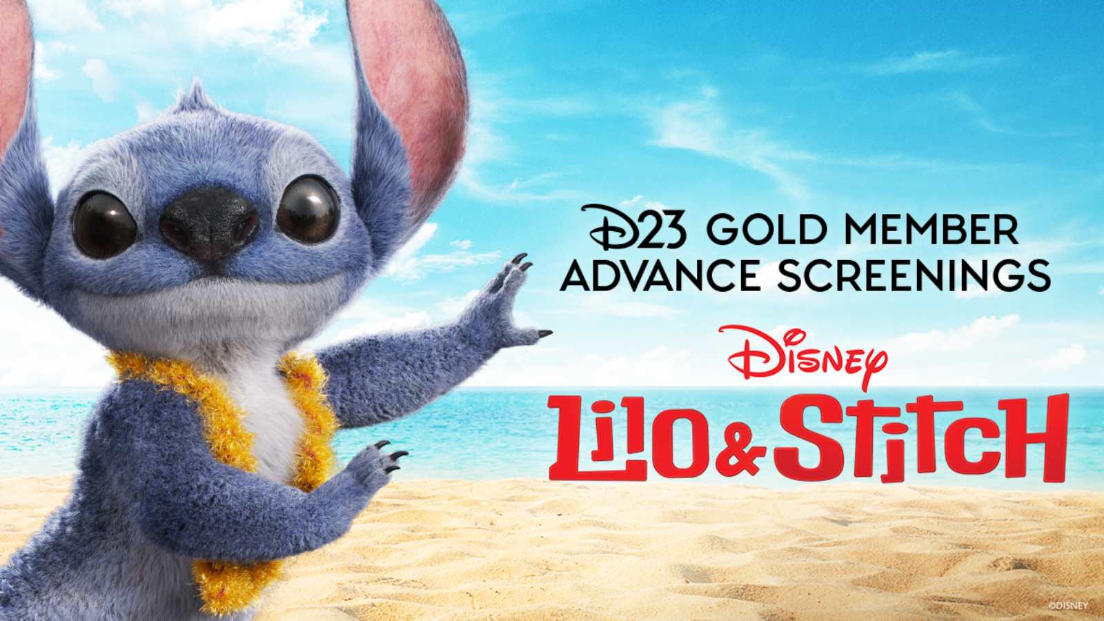 D23 Gold Member “Disney Lilo & Stitch” Advance Screening Dates and Tickets Land News