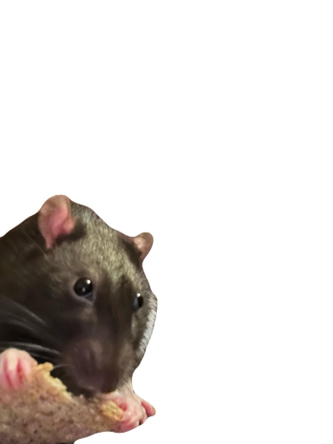 I erased the background now put him in any situation you want