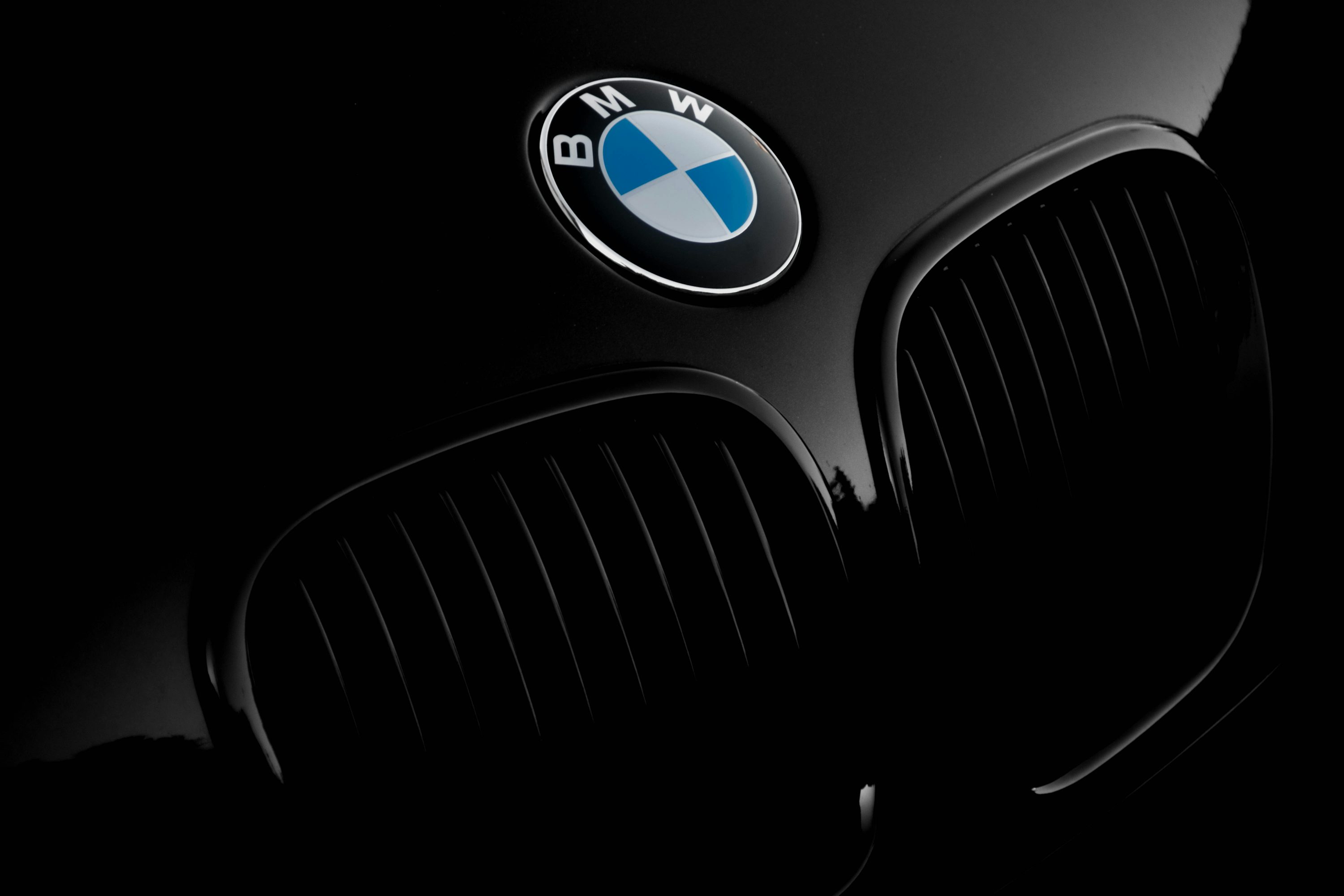 Bmw Logo Picture. Download Free