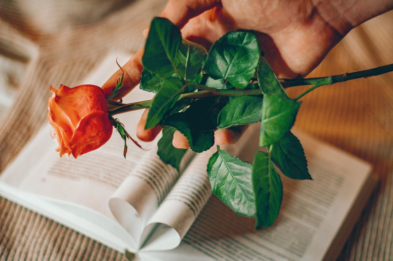 Rose Flower Book Valentine'S