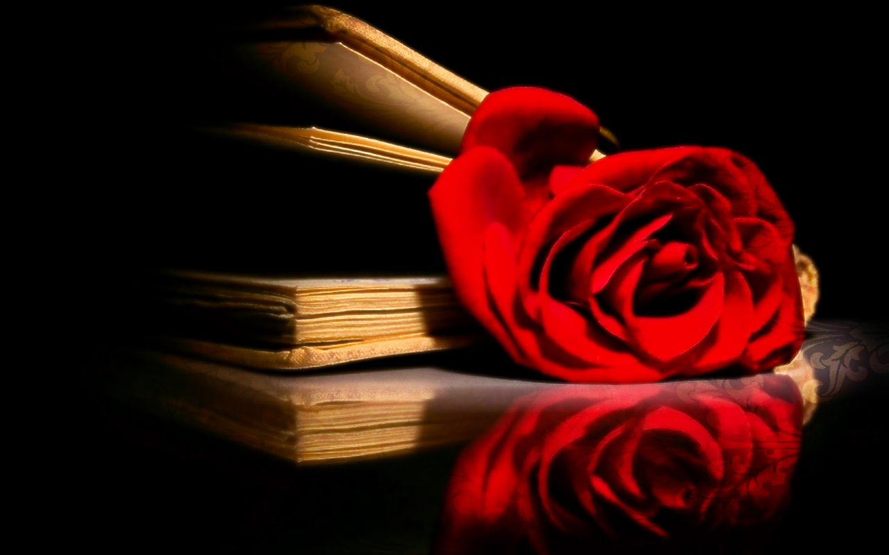 Rose In Book