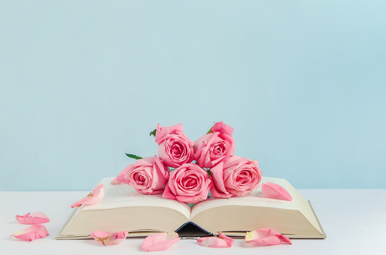 Wallpaper rose Pink color flower books