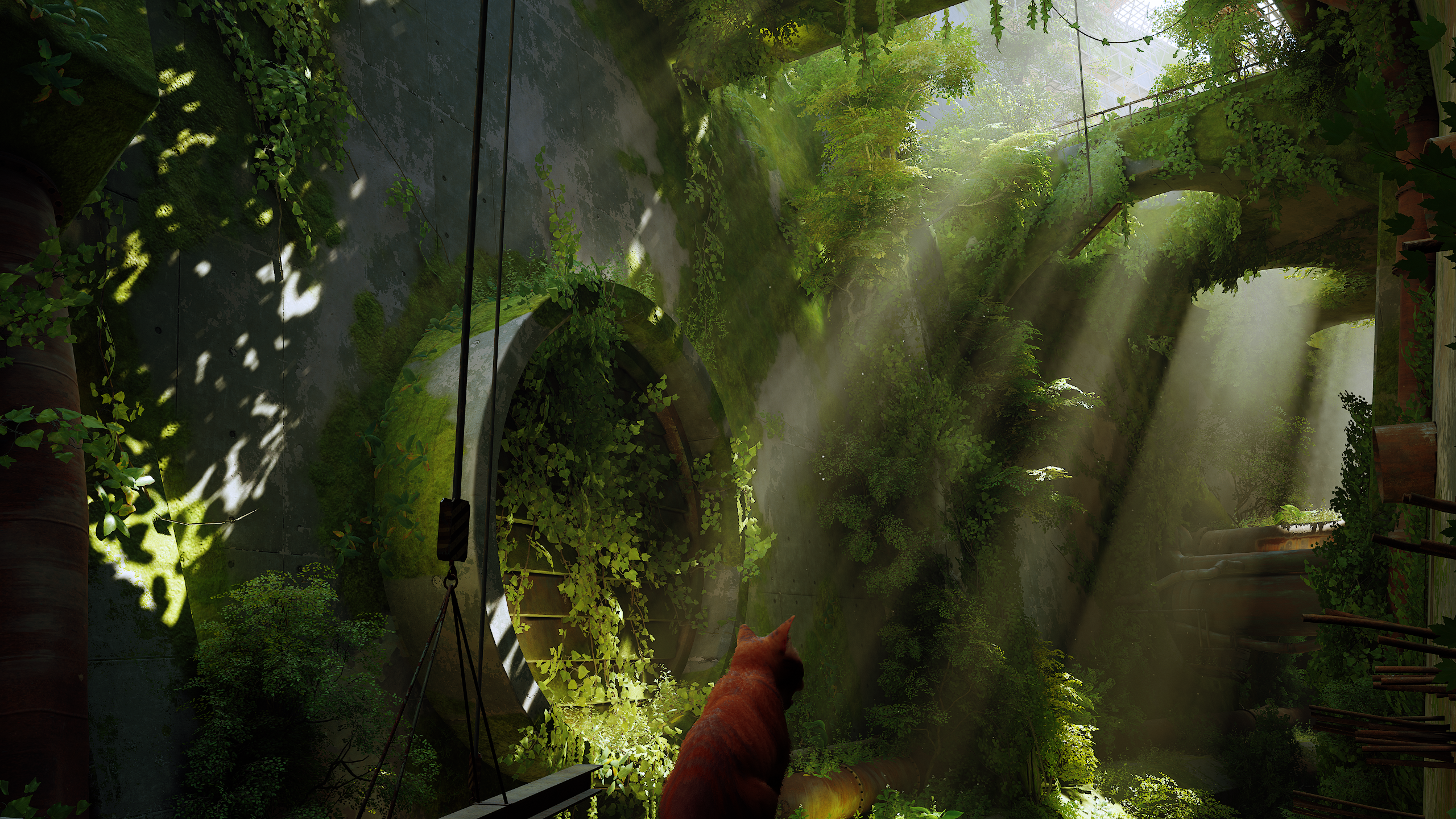 Stray Screenshots (2560x1440) for your desktop background (Spoilers)