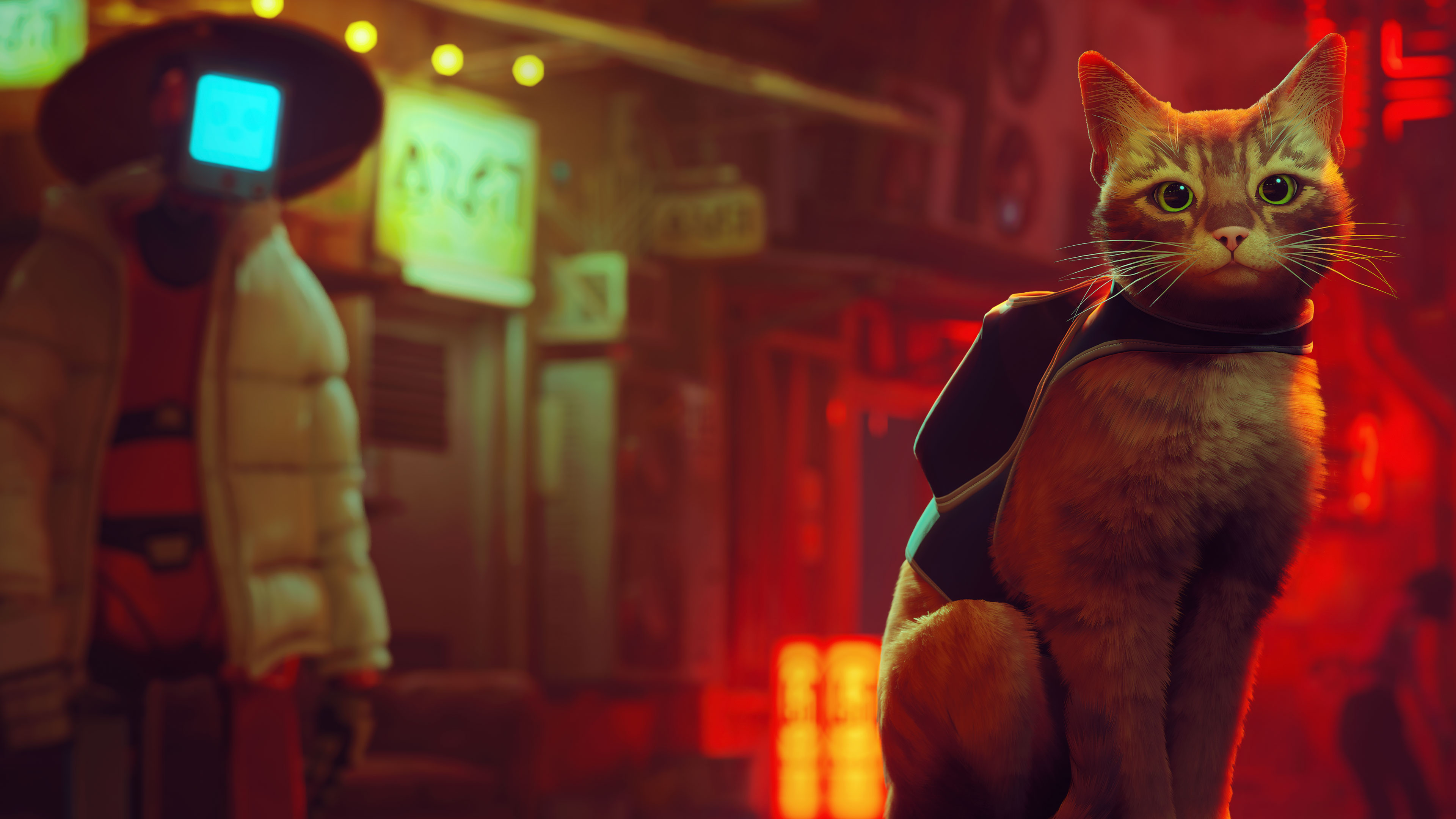 Stray Wallpaper 4K, PlayStation 5, cat, PC Games