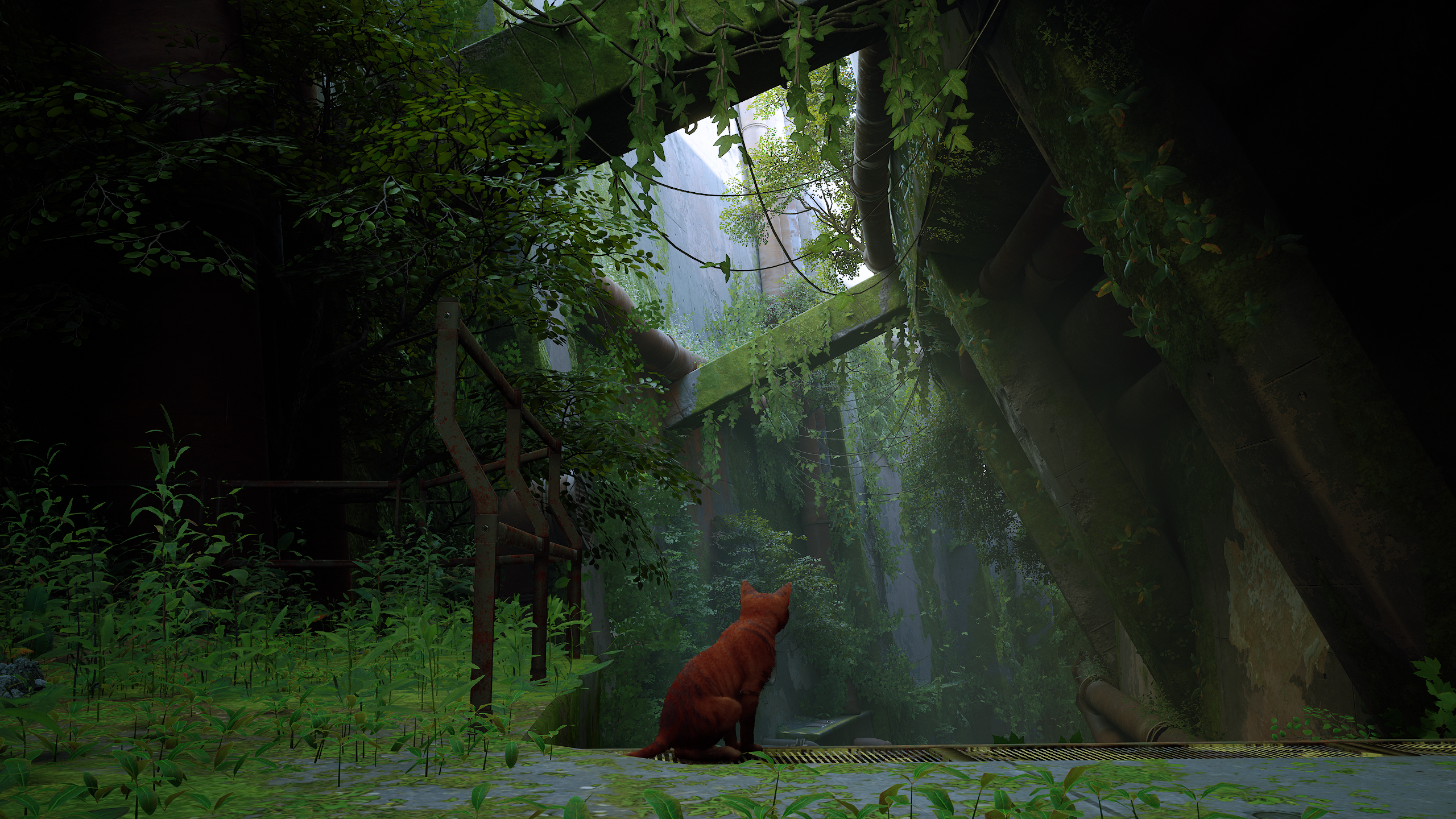 Stray Screenshots (2560x1440) for your desktop background (Spoilers)